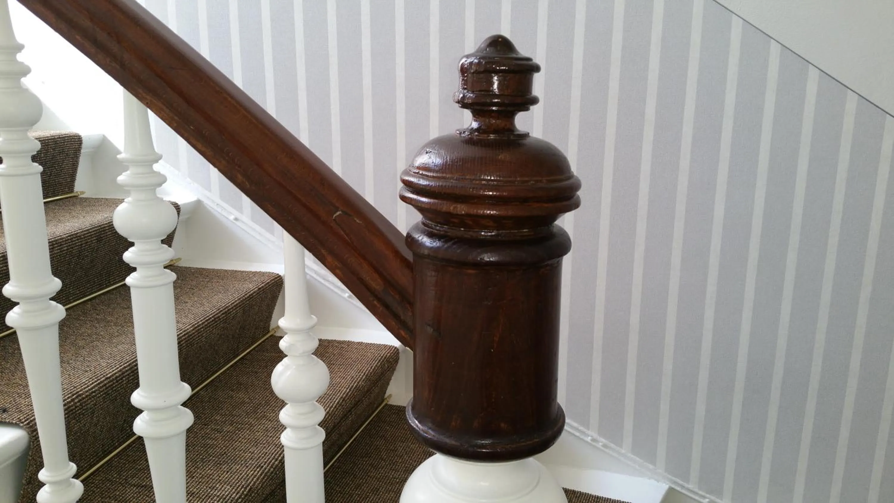 Area and facilities in Hotel An der Altstadt