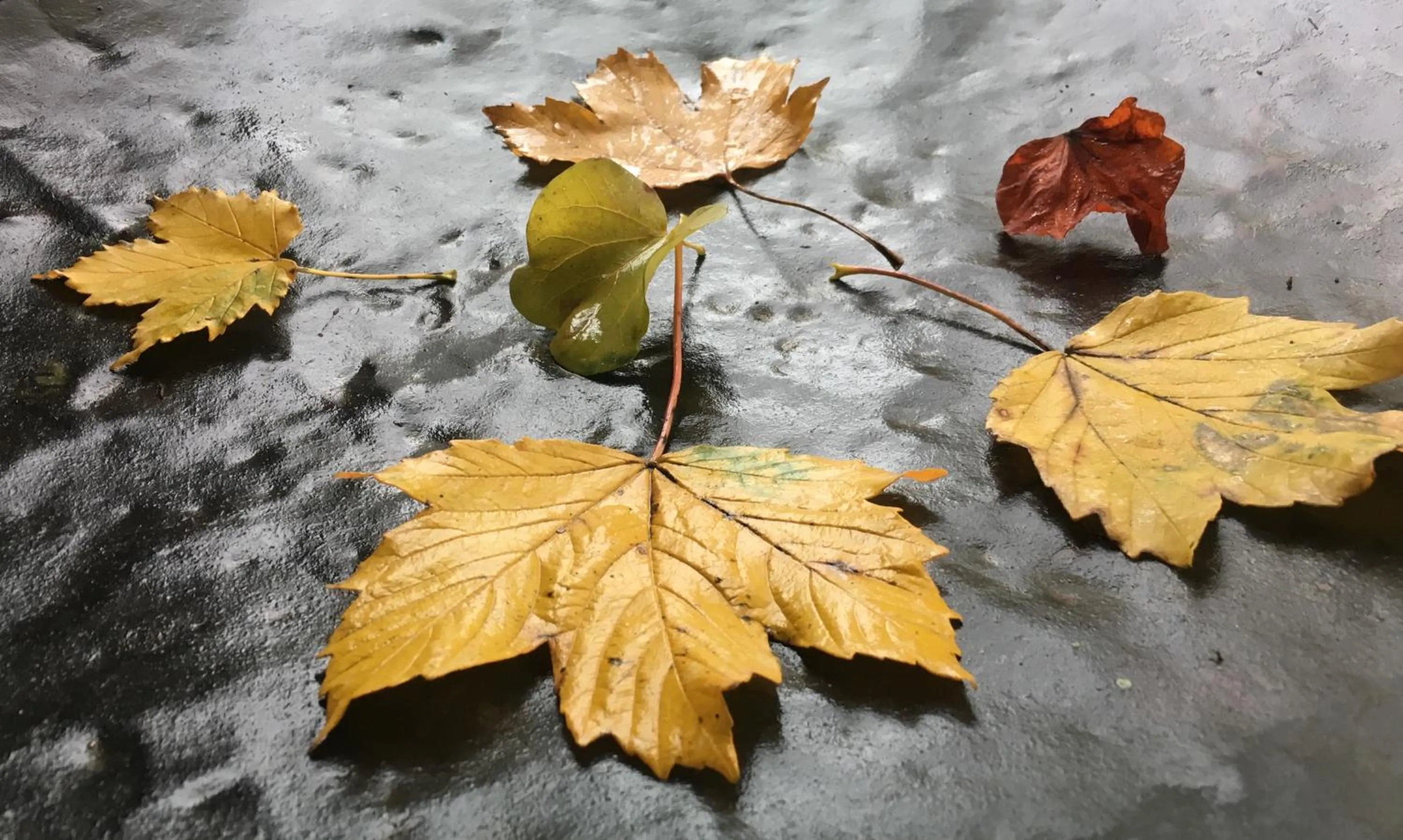 Autumn in Dimora Storica La Corte Delle 4 Stagioni