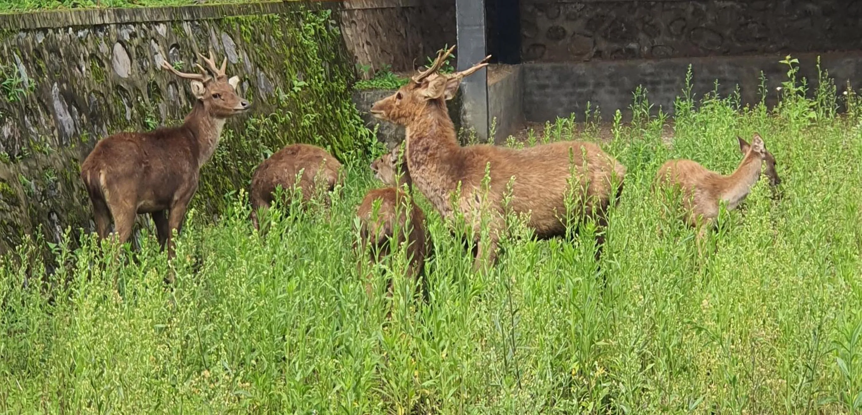 Day in Nusantara Hotel Sembalun