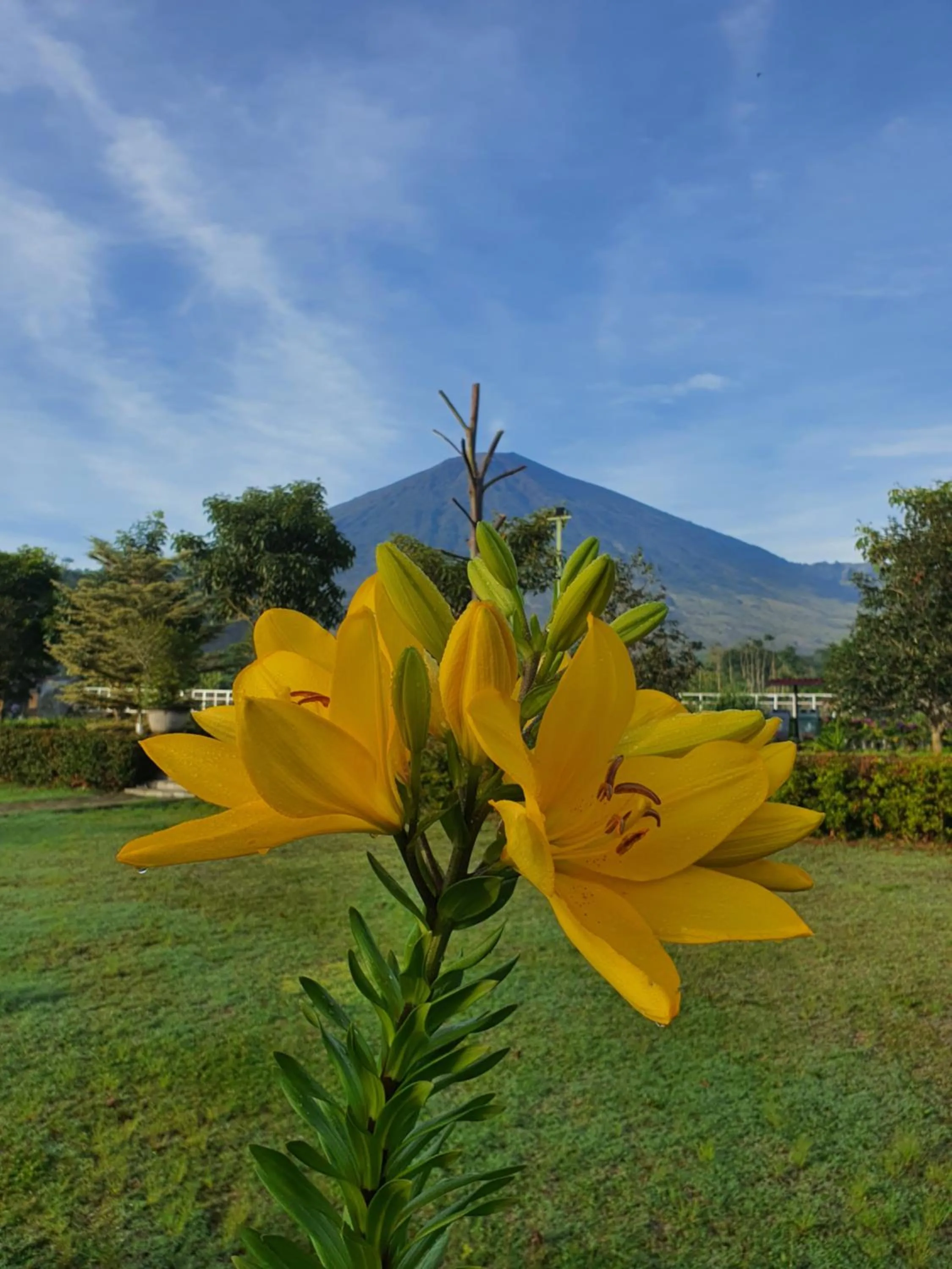 Natural landscape in Nusantara Hotel Sembalun