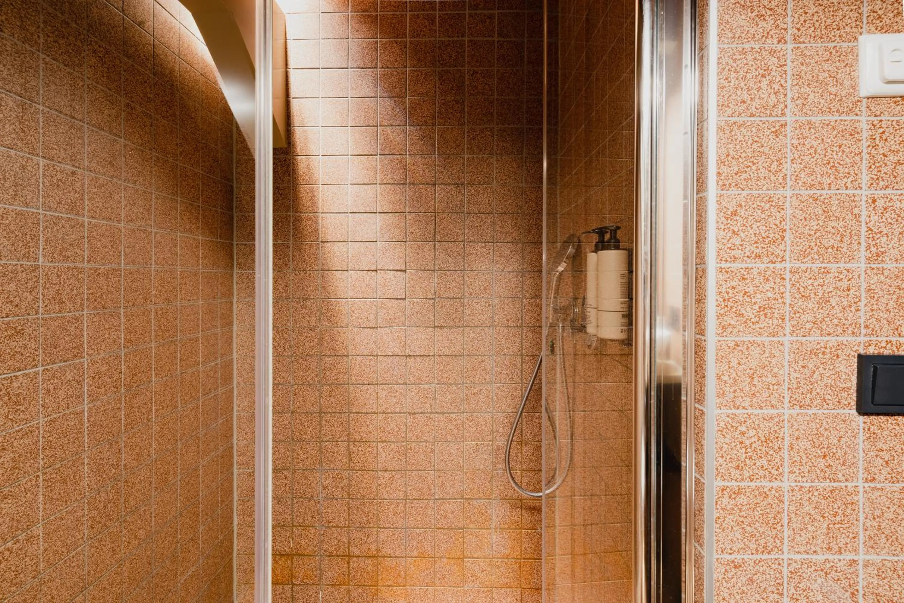 Shower in Hotel van de Vijsel