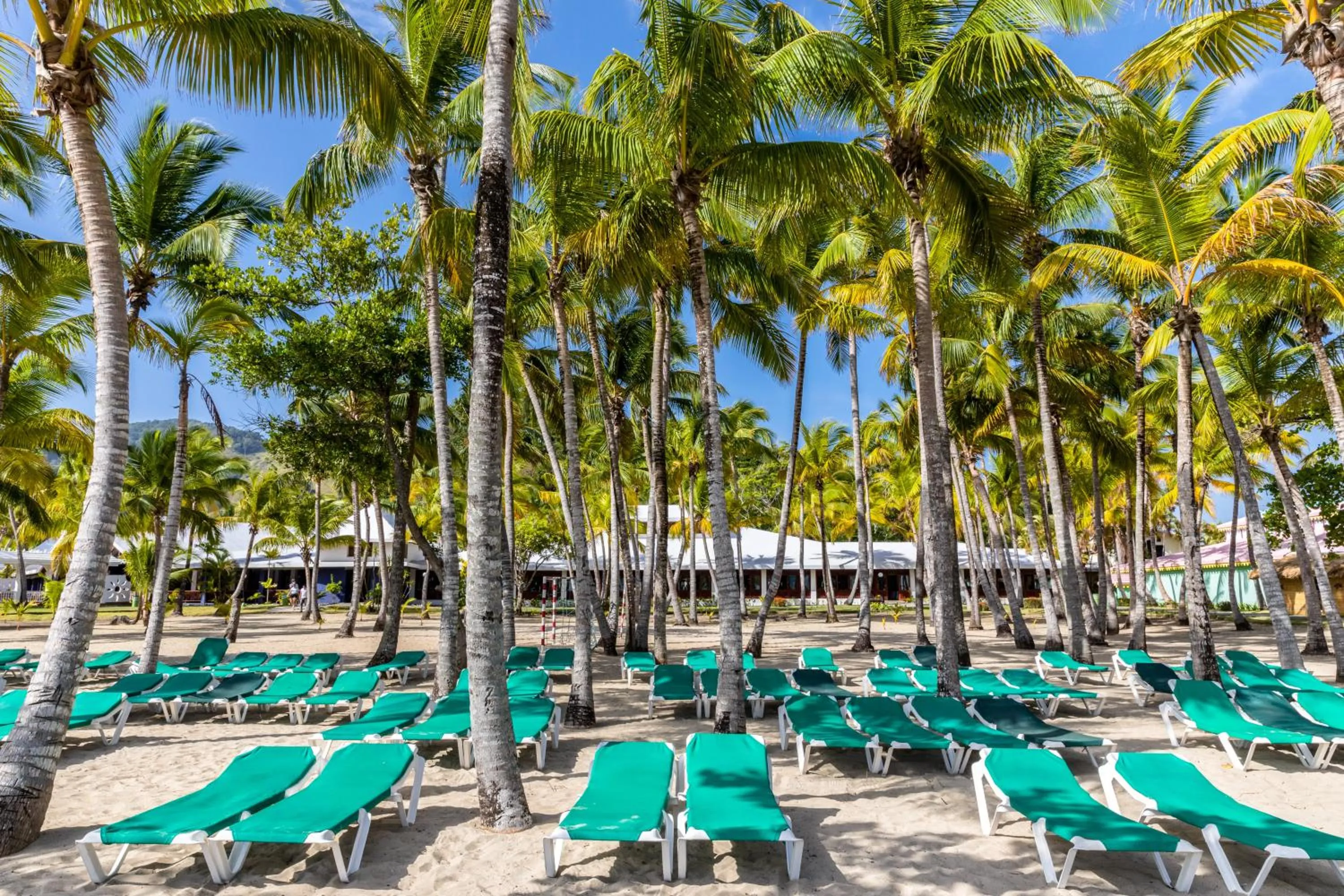 Beach in Playabachata