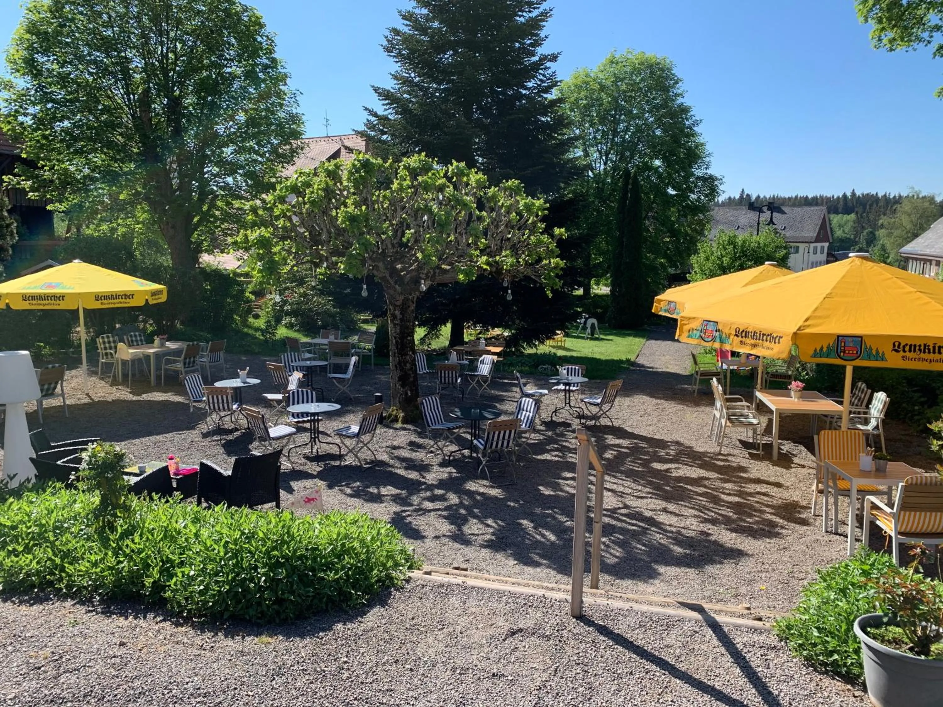 Garden view in Hotel Hochfirst