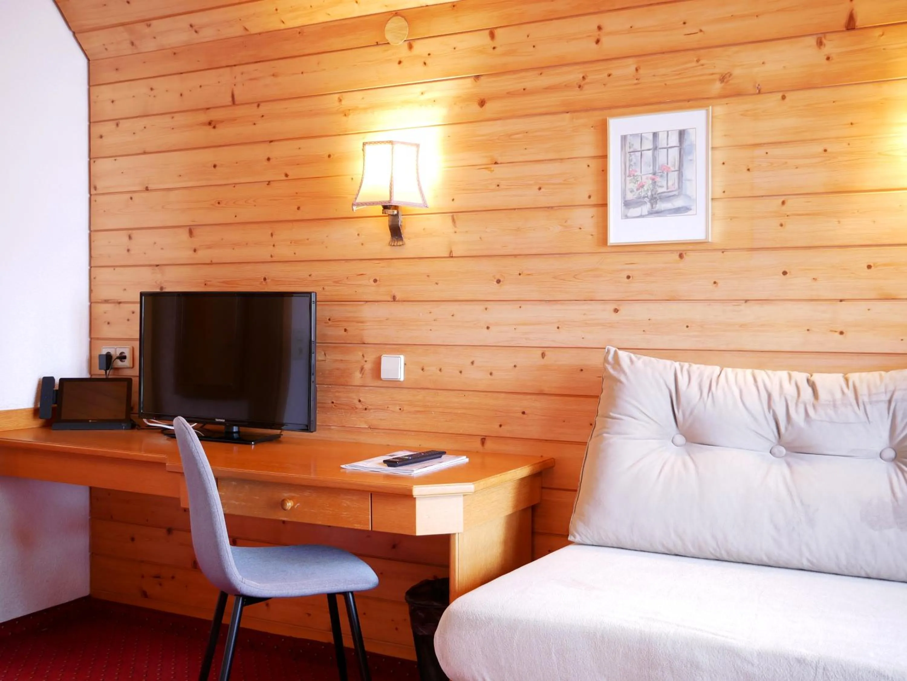 TV and multimedia in Hotel Hochfirst