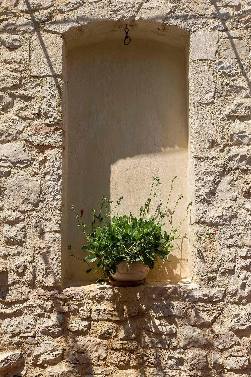 Decorative detail in Familia