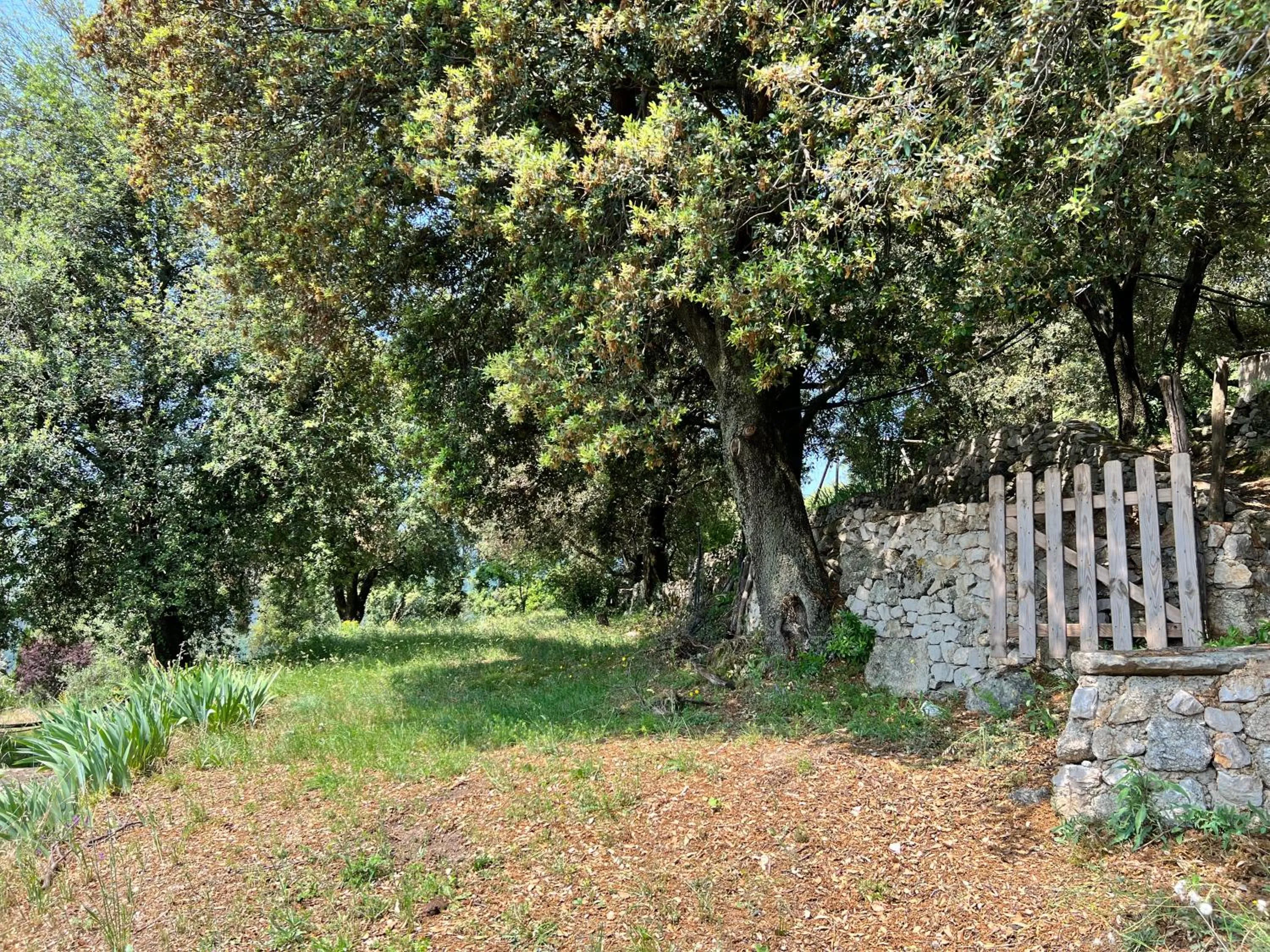 Garden in LES GITES D'ARDAILLERS