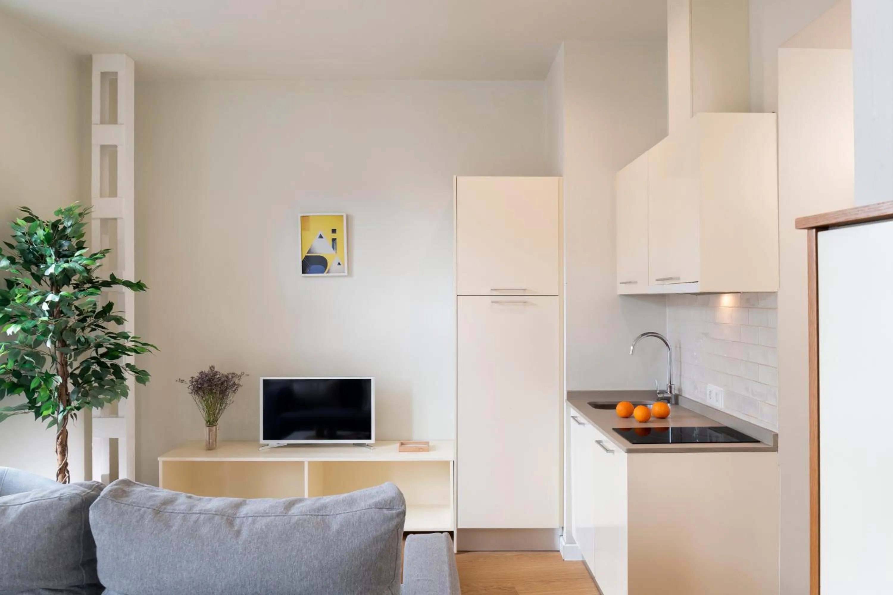 TV and multimedia in Ópera Apartments Alameda