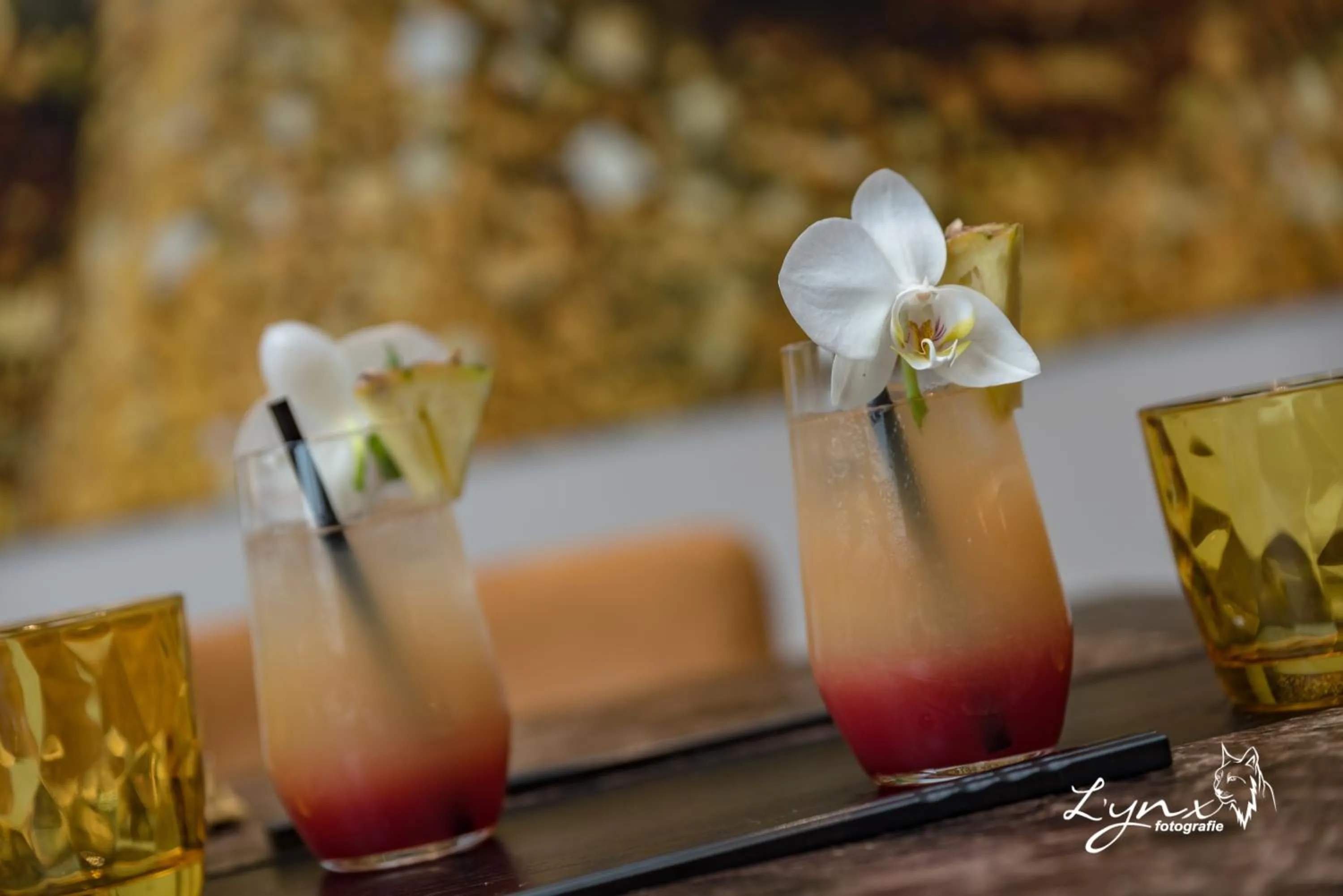 Property building in De Vesten Comfort Lodge