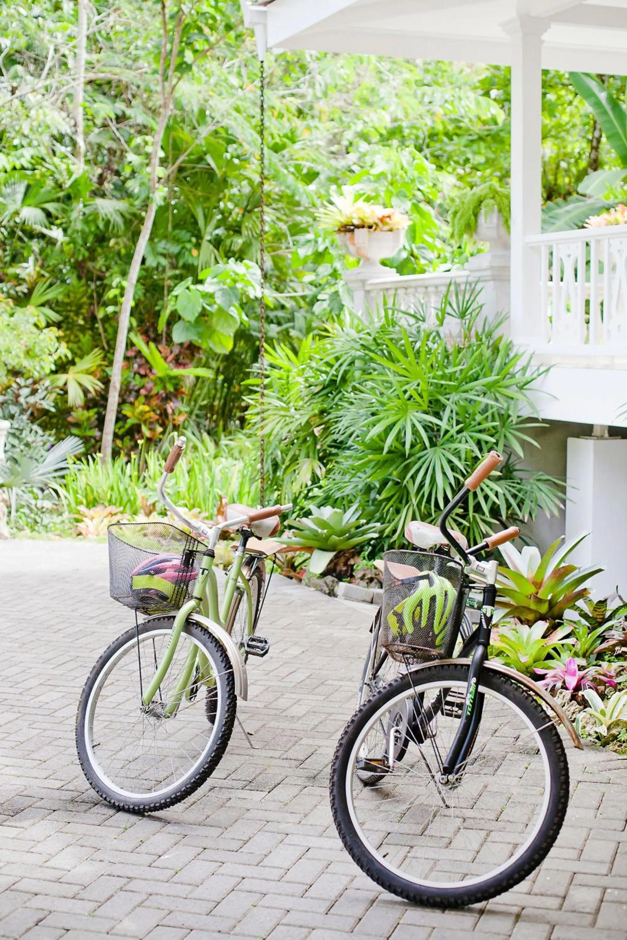 Garden in Hotel Aguas Claras Member of the Cayuga Collection