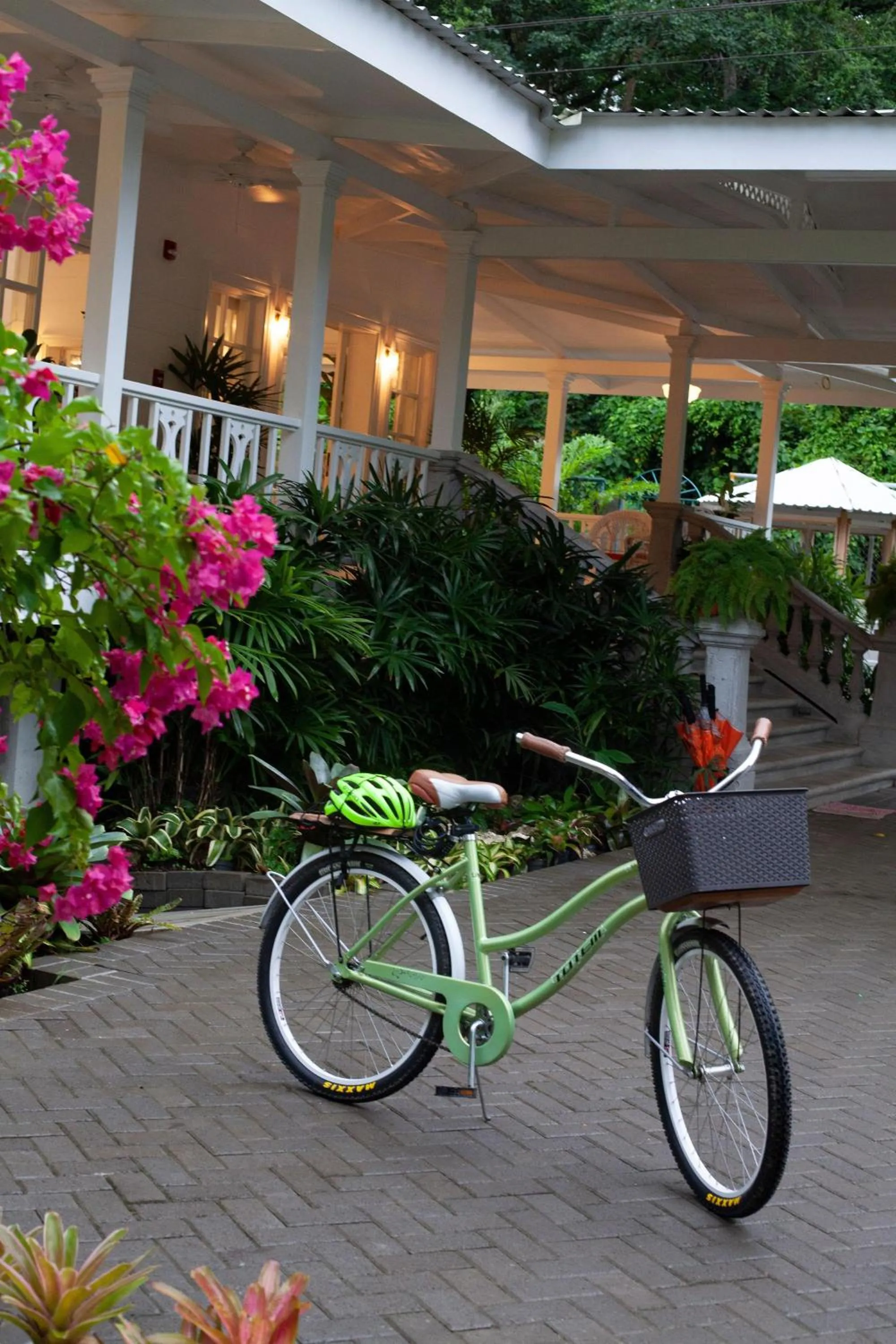 Activities in Hotel Aguas Claras Member of the Cayuga Collection