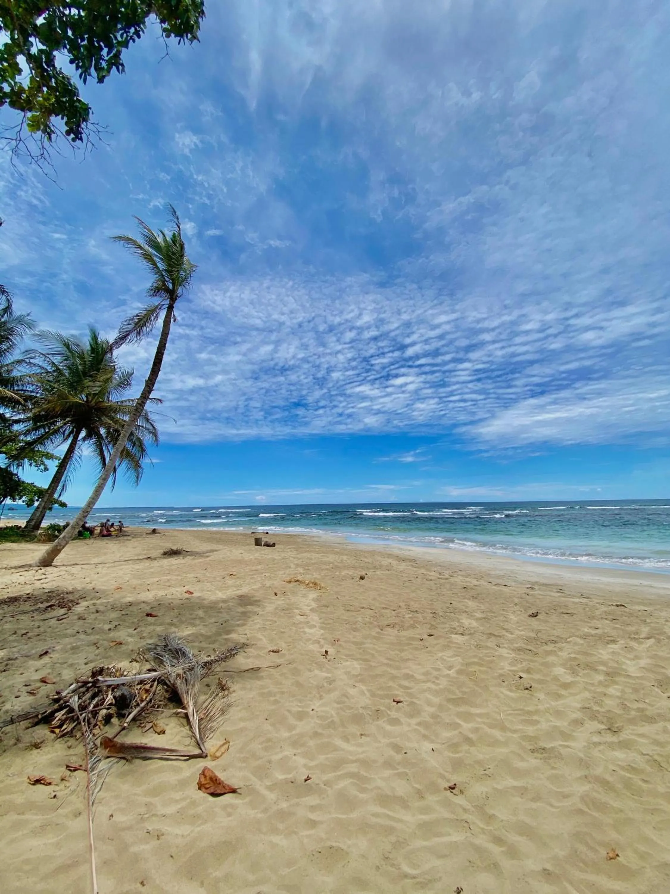 Beach in Hotel Aguas Claras Member of the Cayuga Collection