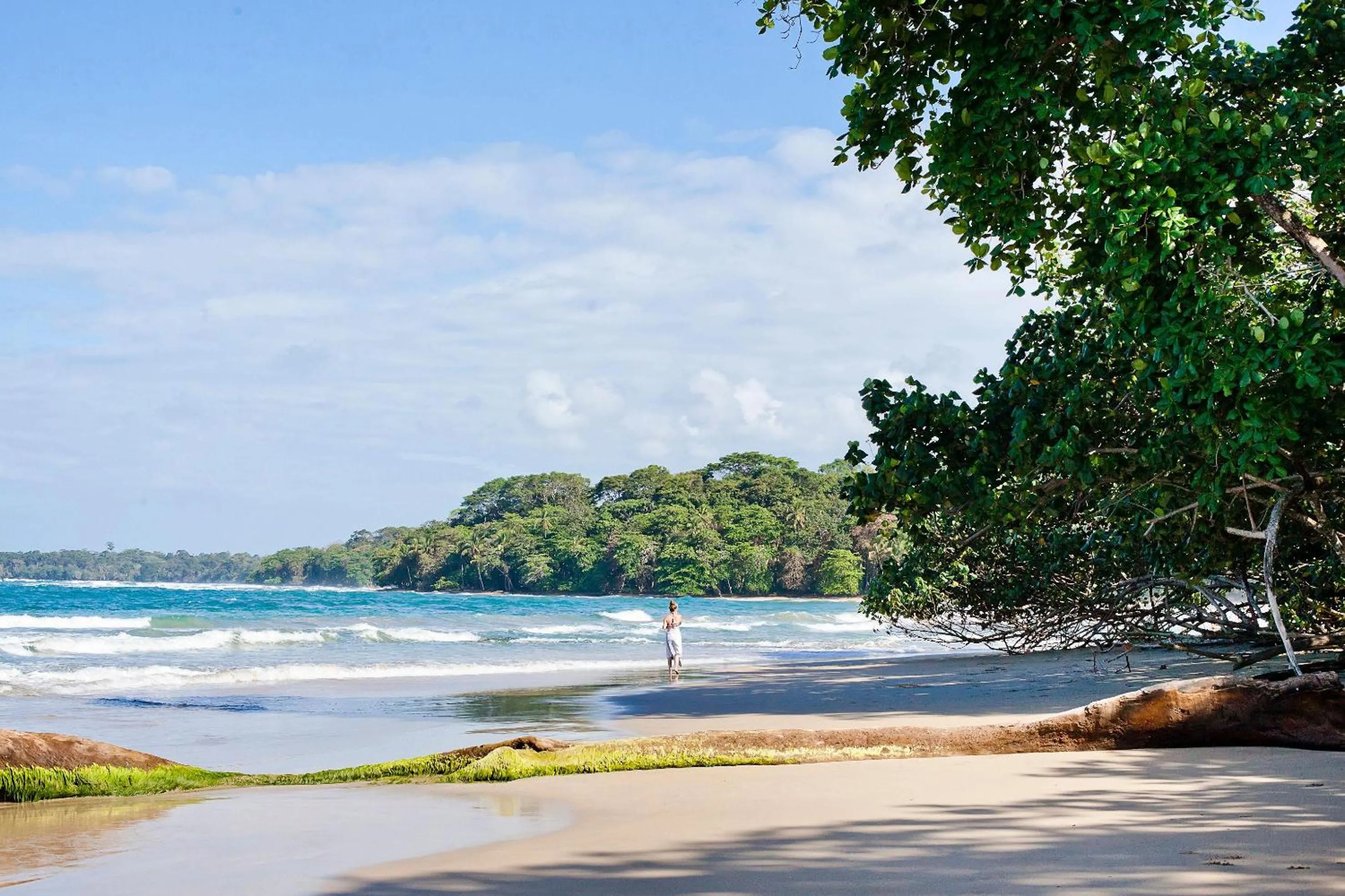 Beach in Hotel Aguas Claras Member of the Cayuga Collection