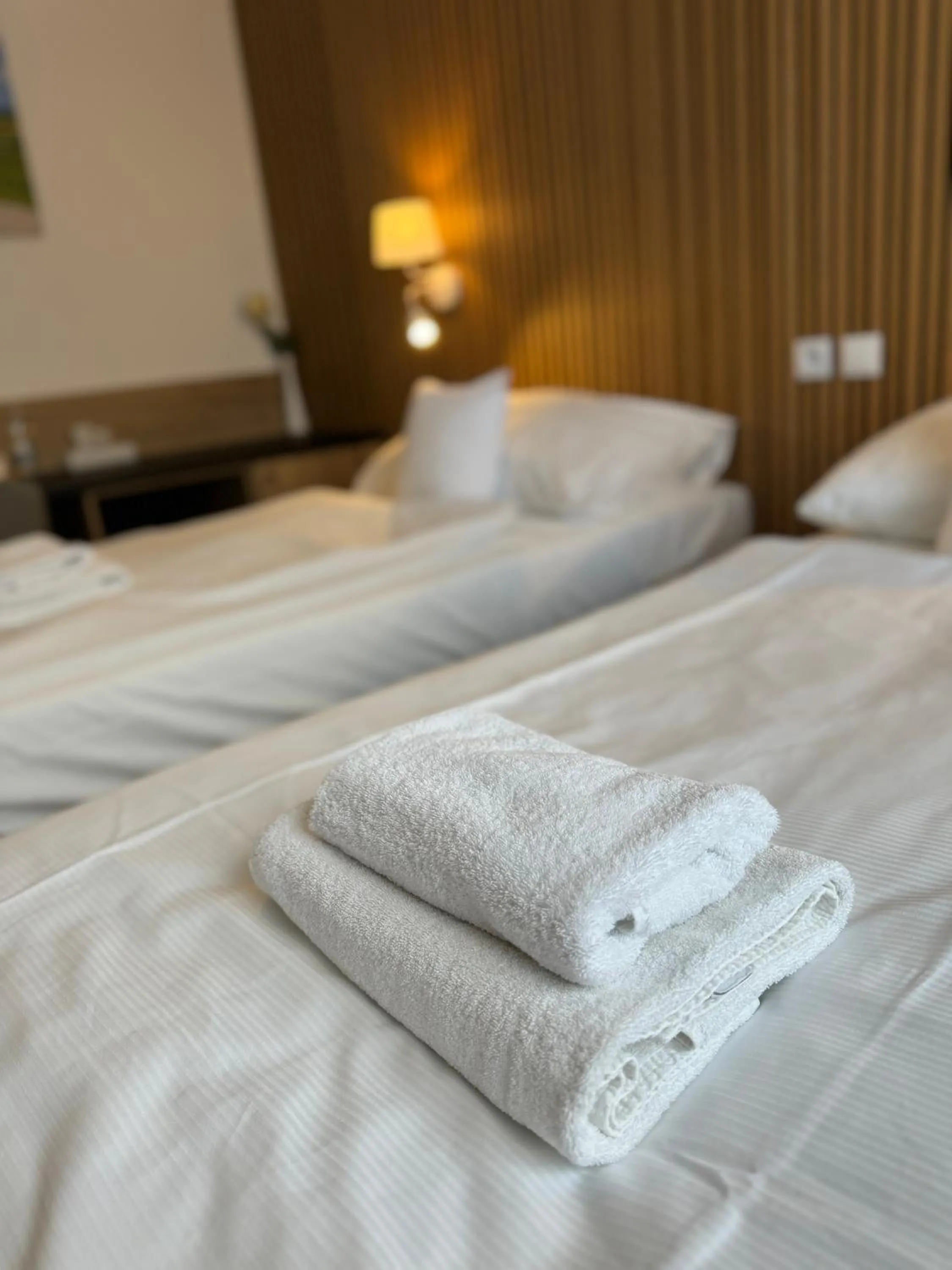 Bed in Hotel ROSE Břeclav