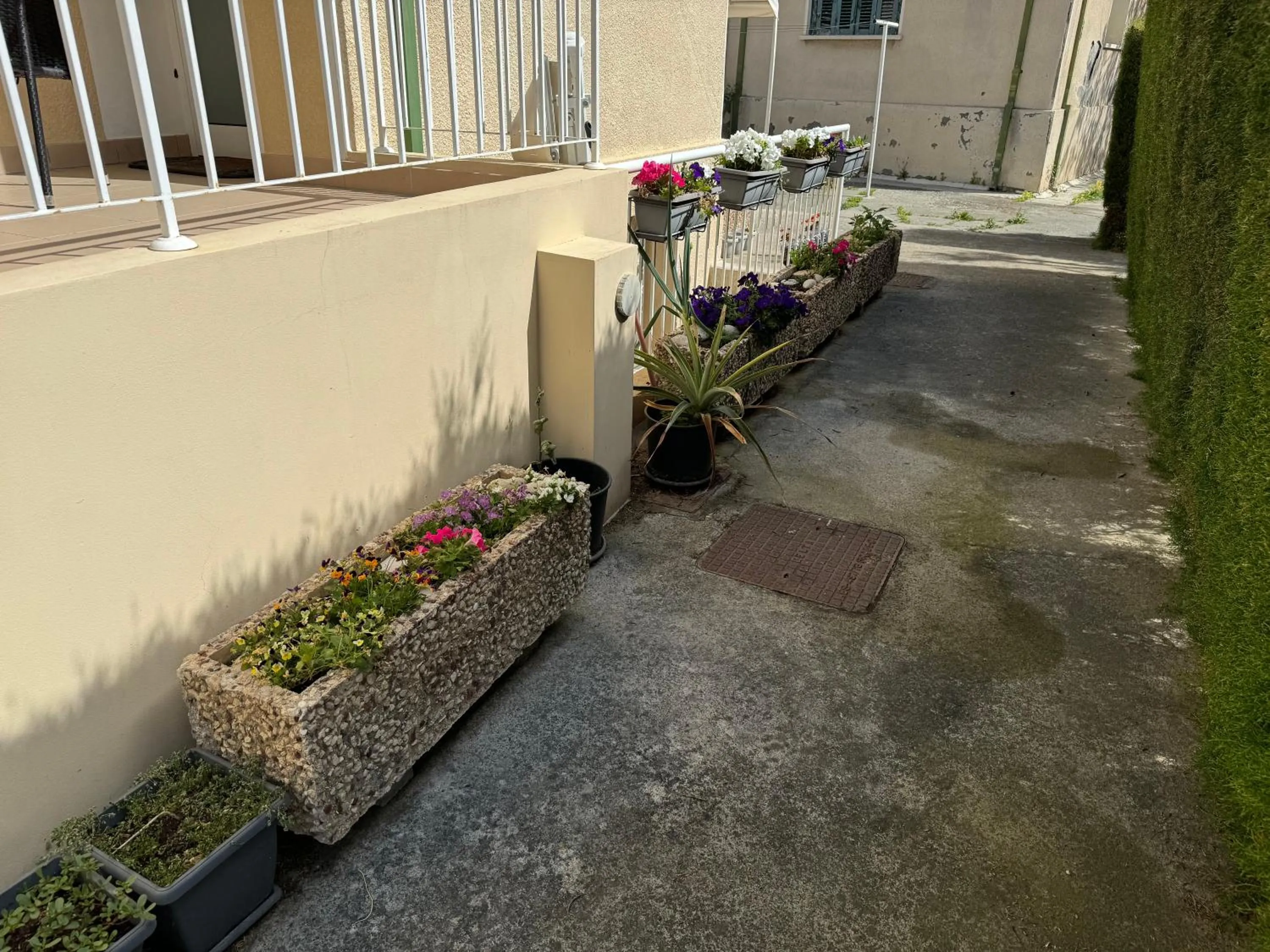 Inner courtyard view in Avgi's Home