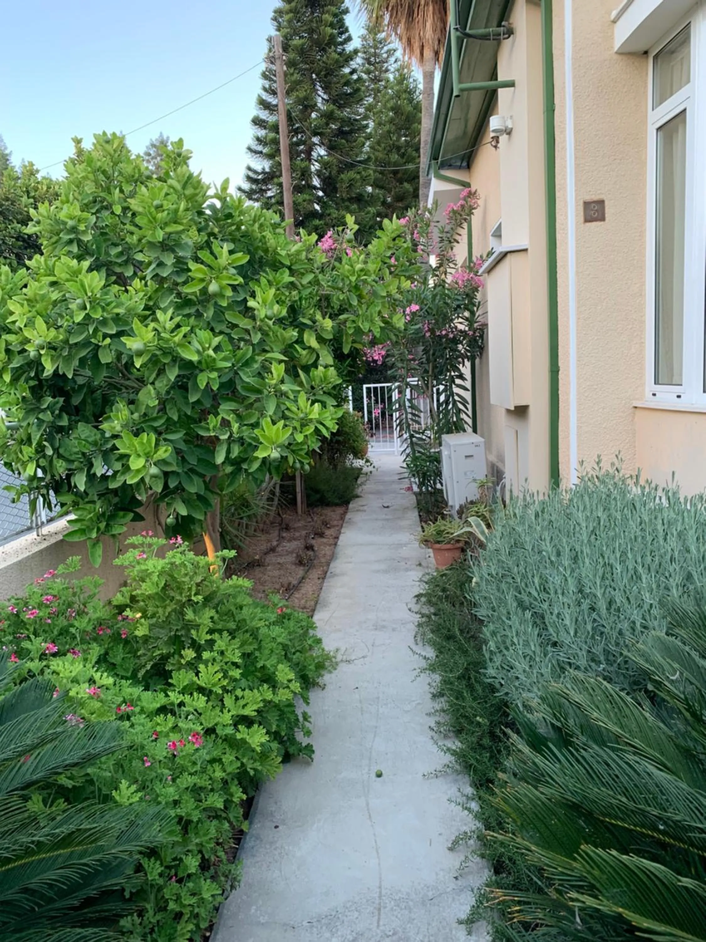 Facade/entrance in Avgi's Home