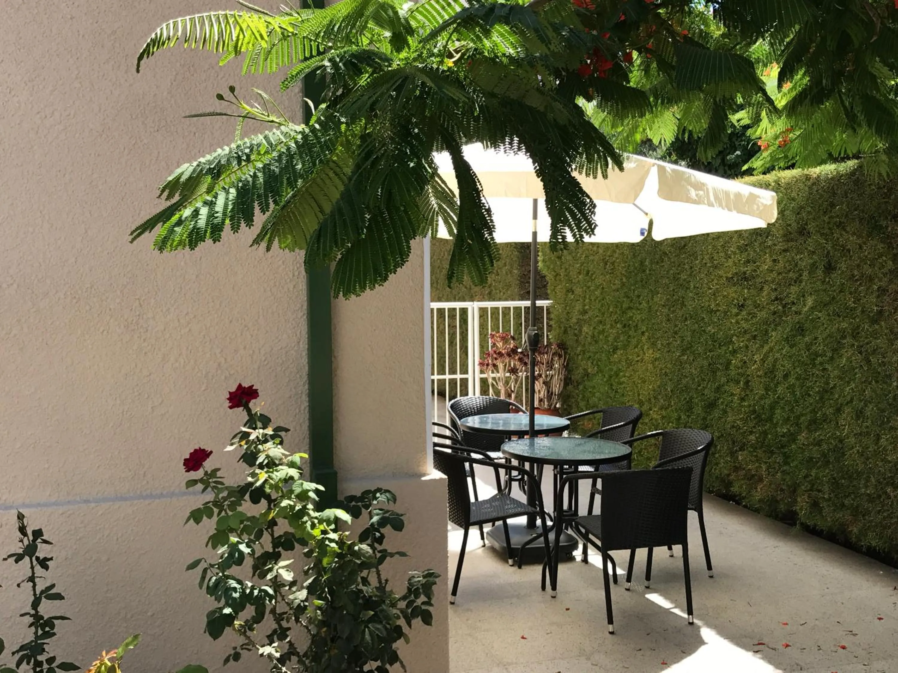 Property building in Avgi's Home