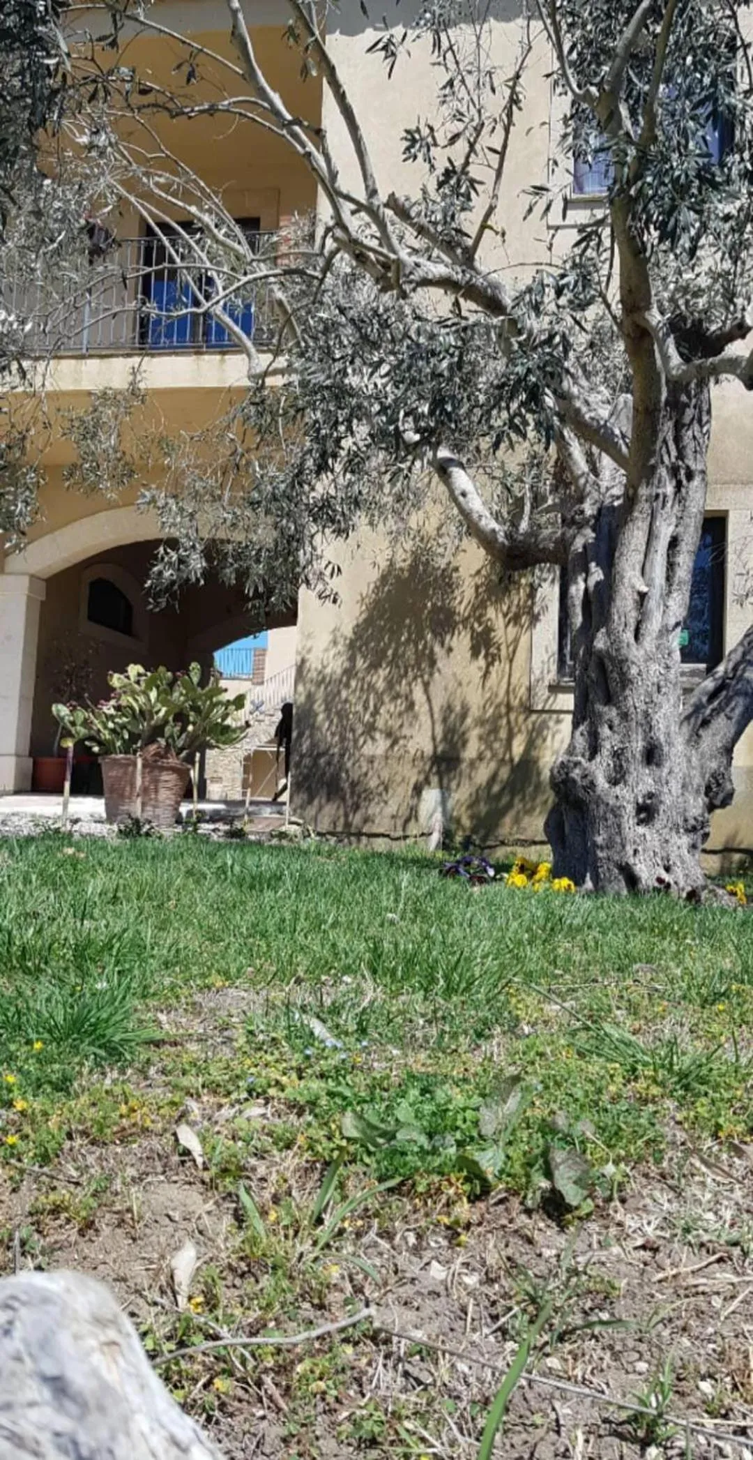 Il Casale Delle Rose