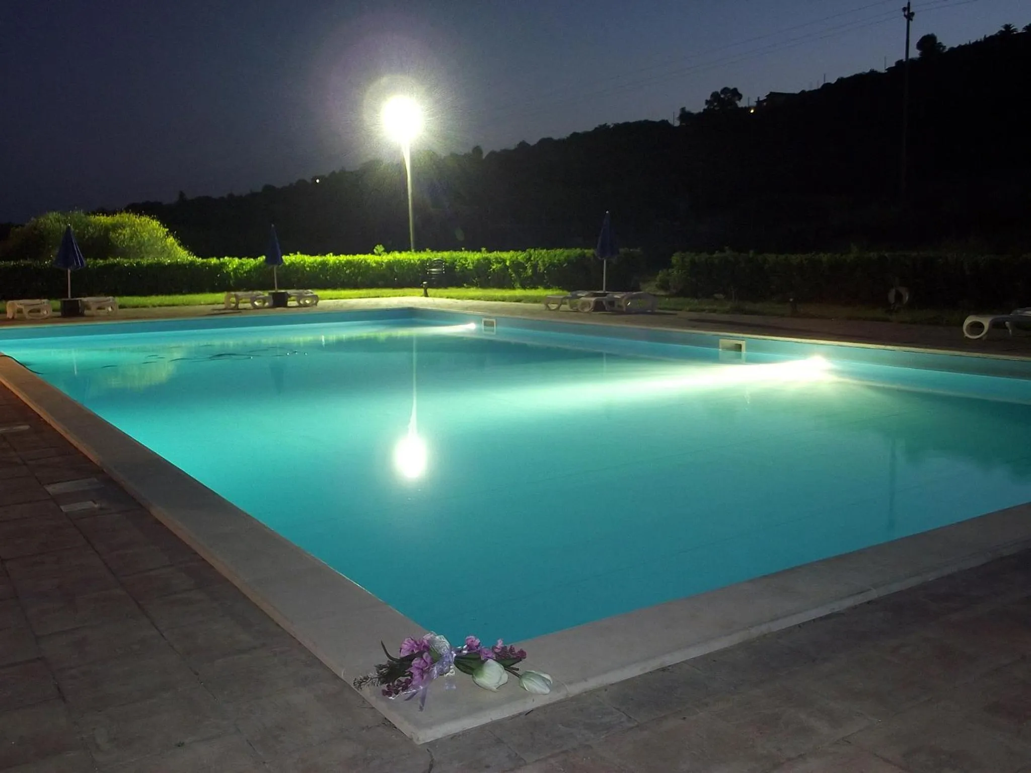 Swimming pool in Il Casale Delle Rose