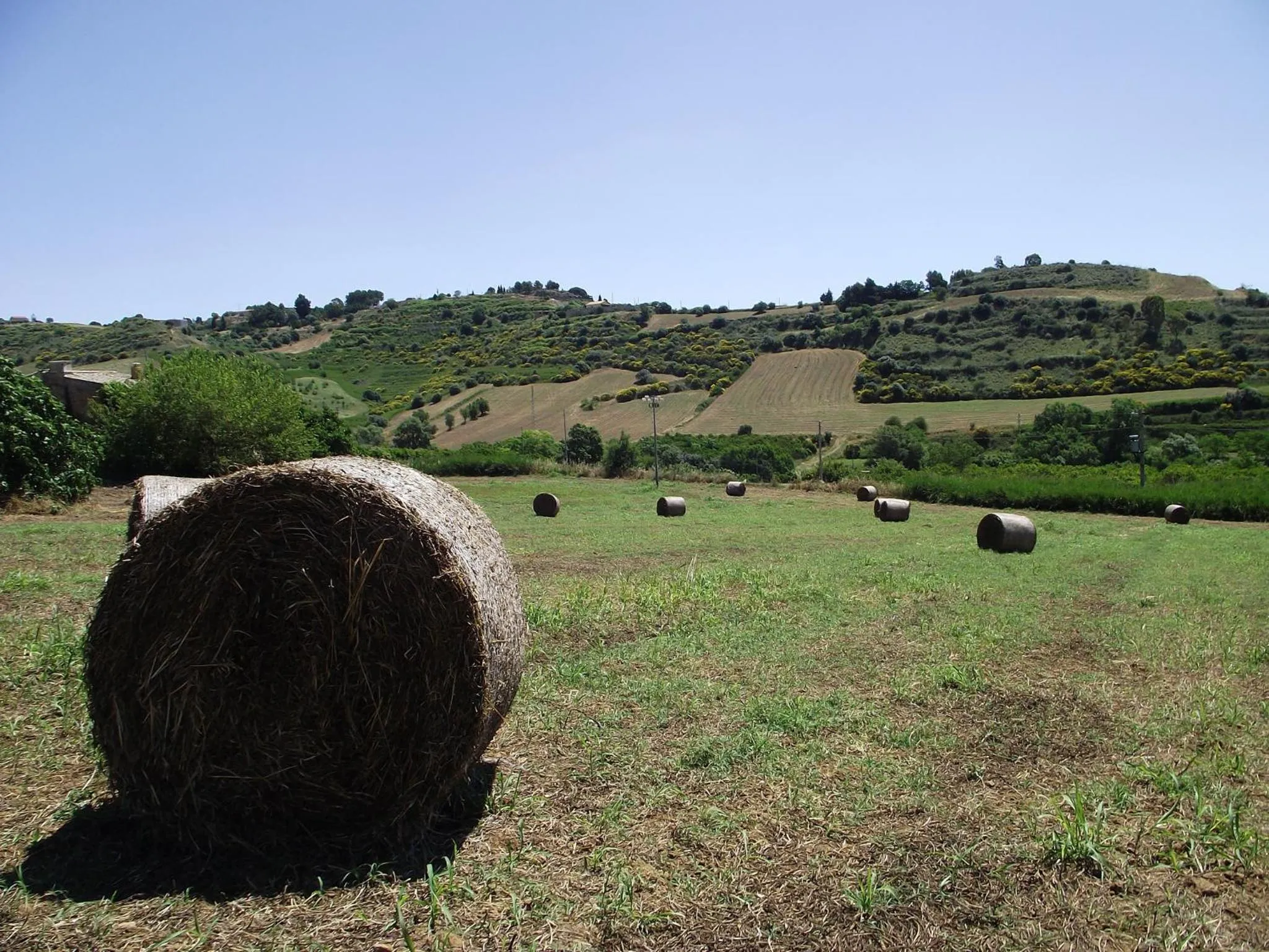 Facade/entrance in Il Casale Delle Rose