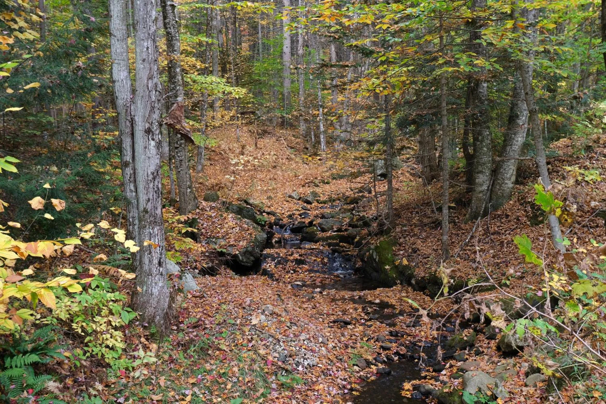 River view in Ski in/out Spruce Glen Townhomes on Great Eastern Trail