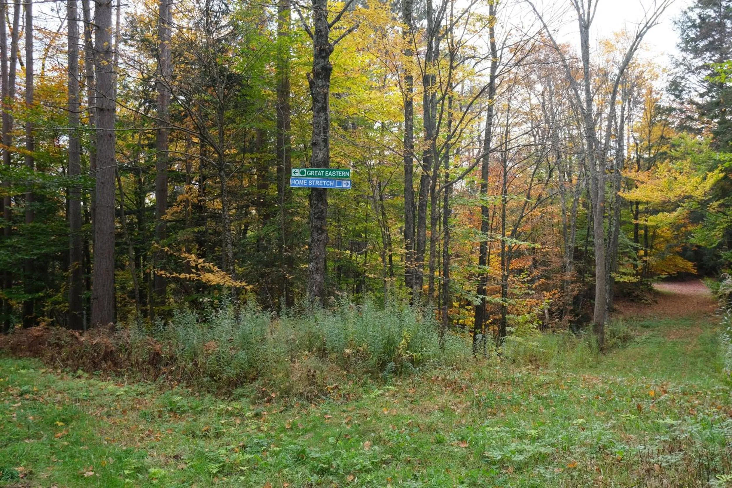 Skiing in Ski in/out Spruce Glen Townhomes on Great Eastern Trail