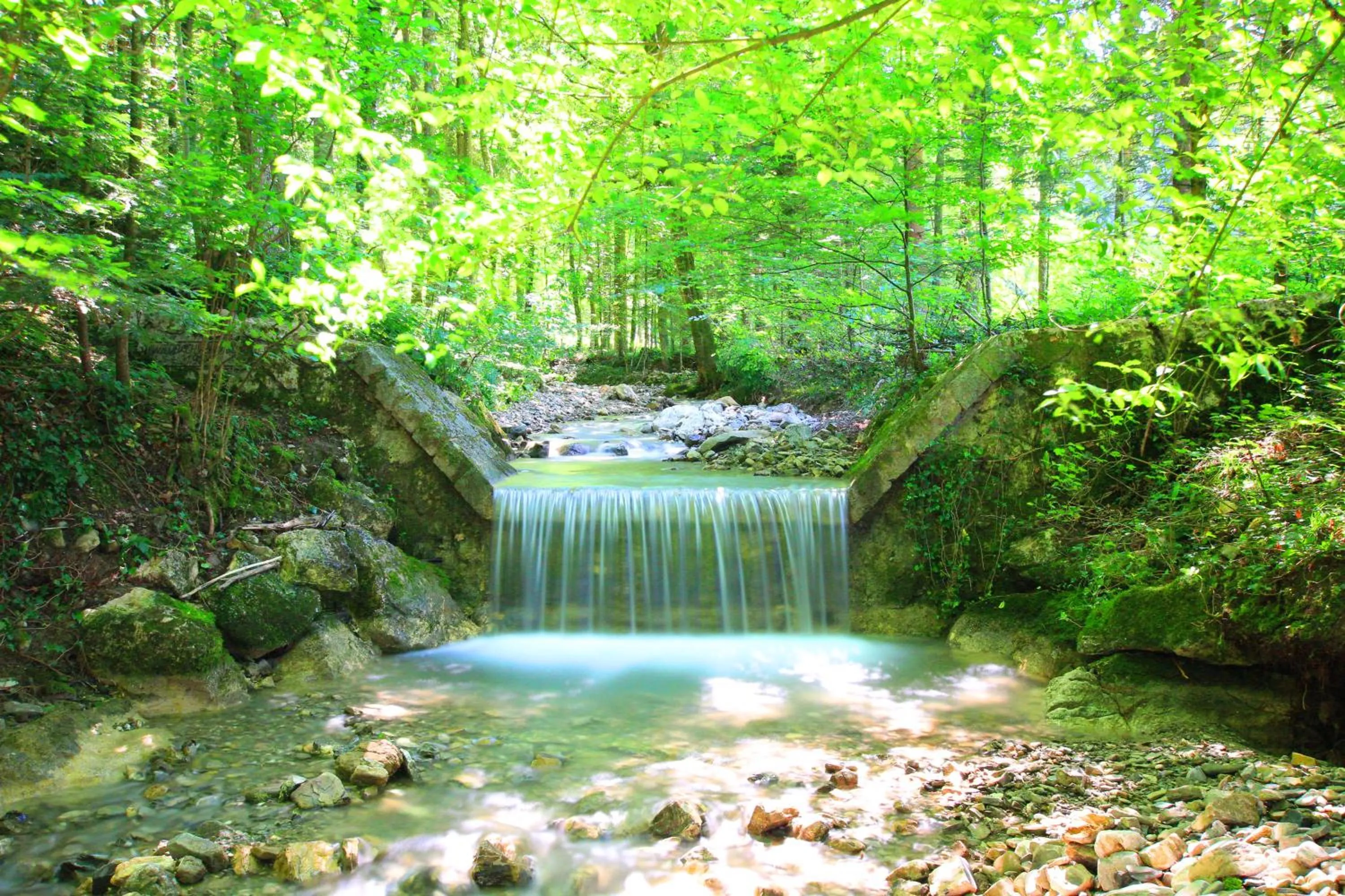 Natural landscape in Hotel Stadler am Attersee
