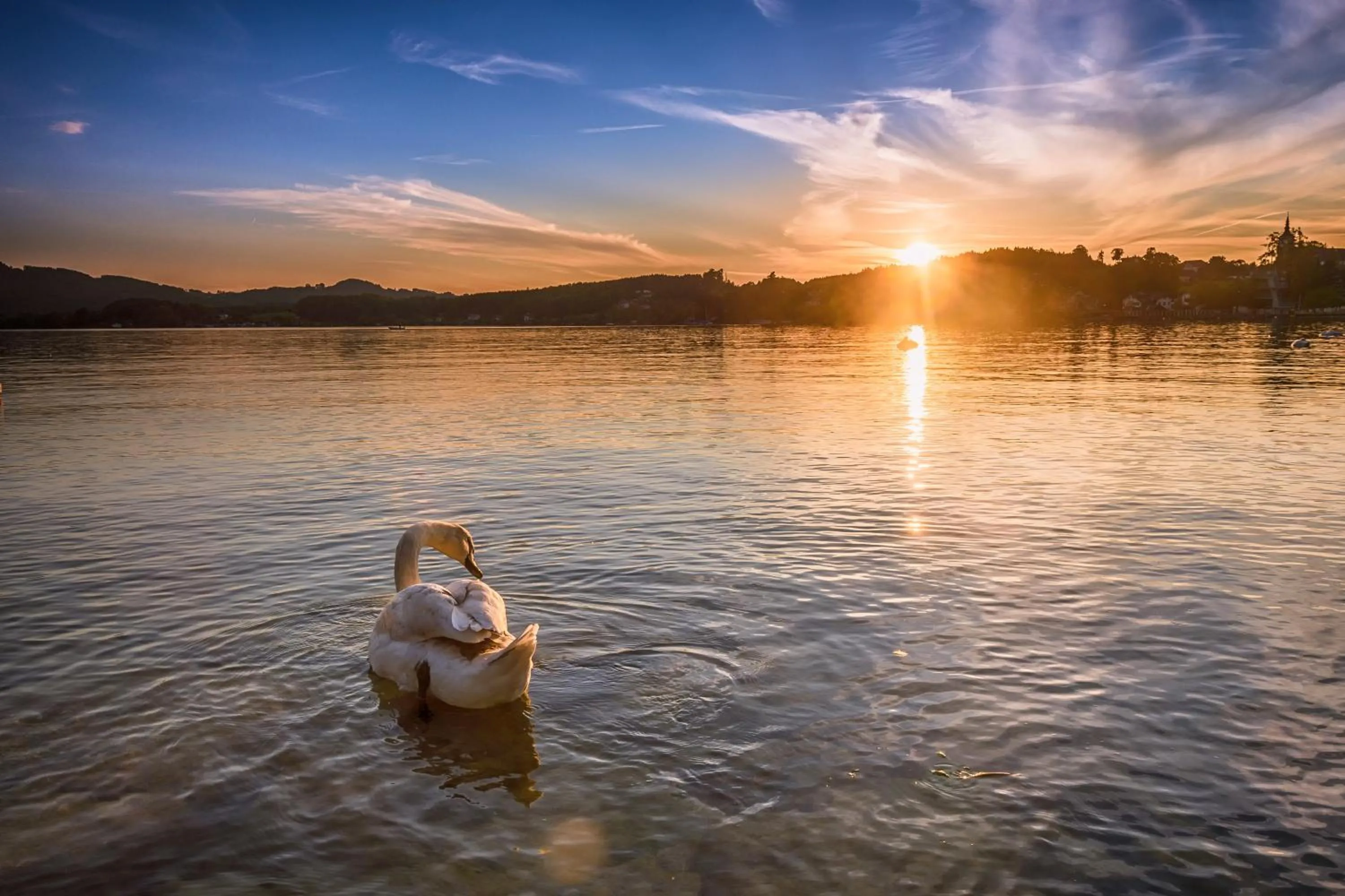 Natural landscape in Hotel Stadler am Attersee