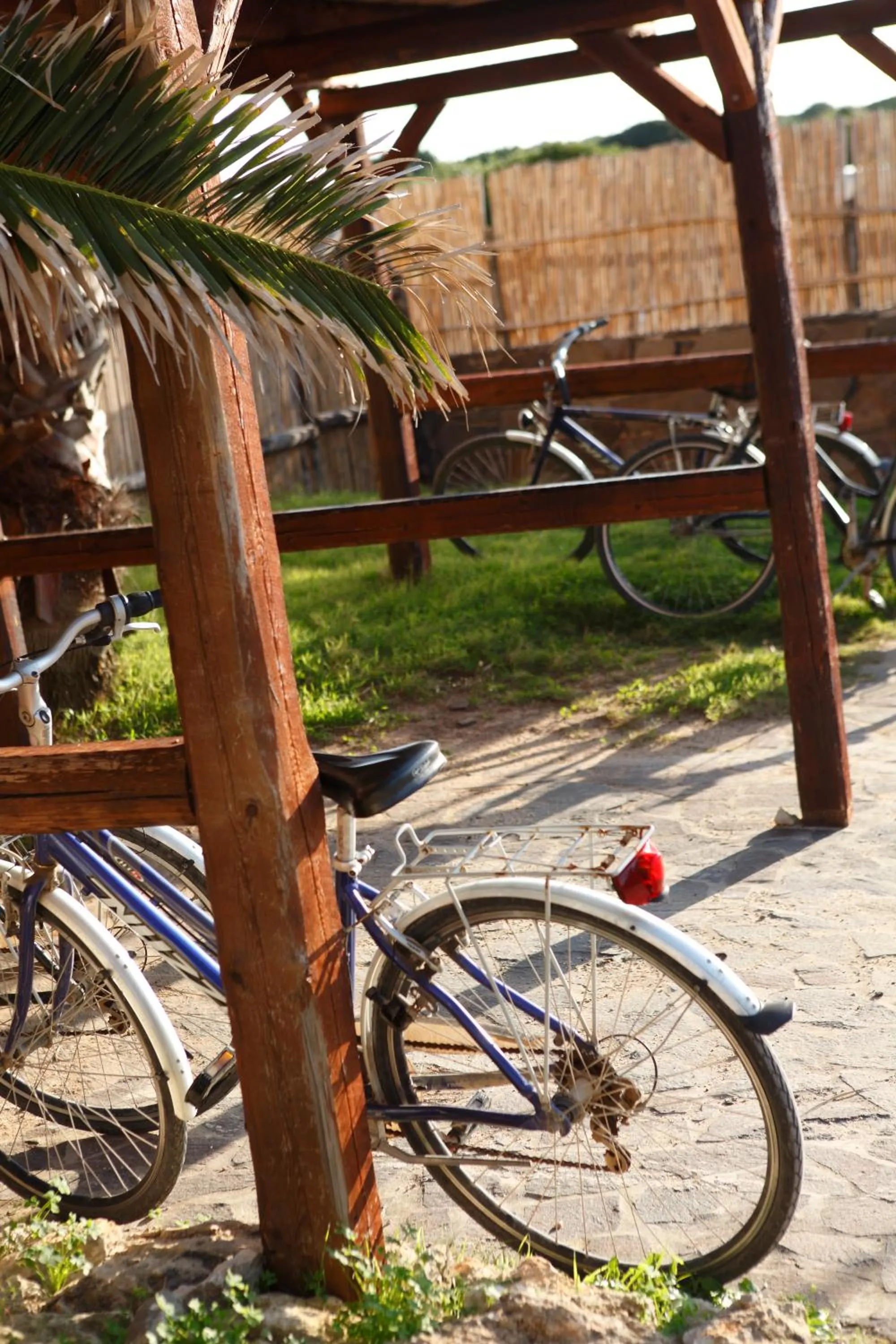 Facade/entrance in Hotel Luci Del Faro