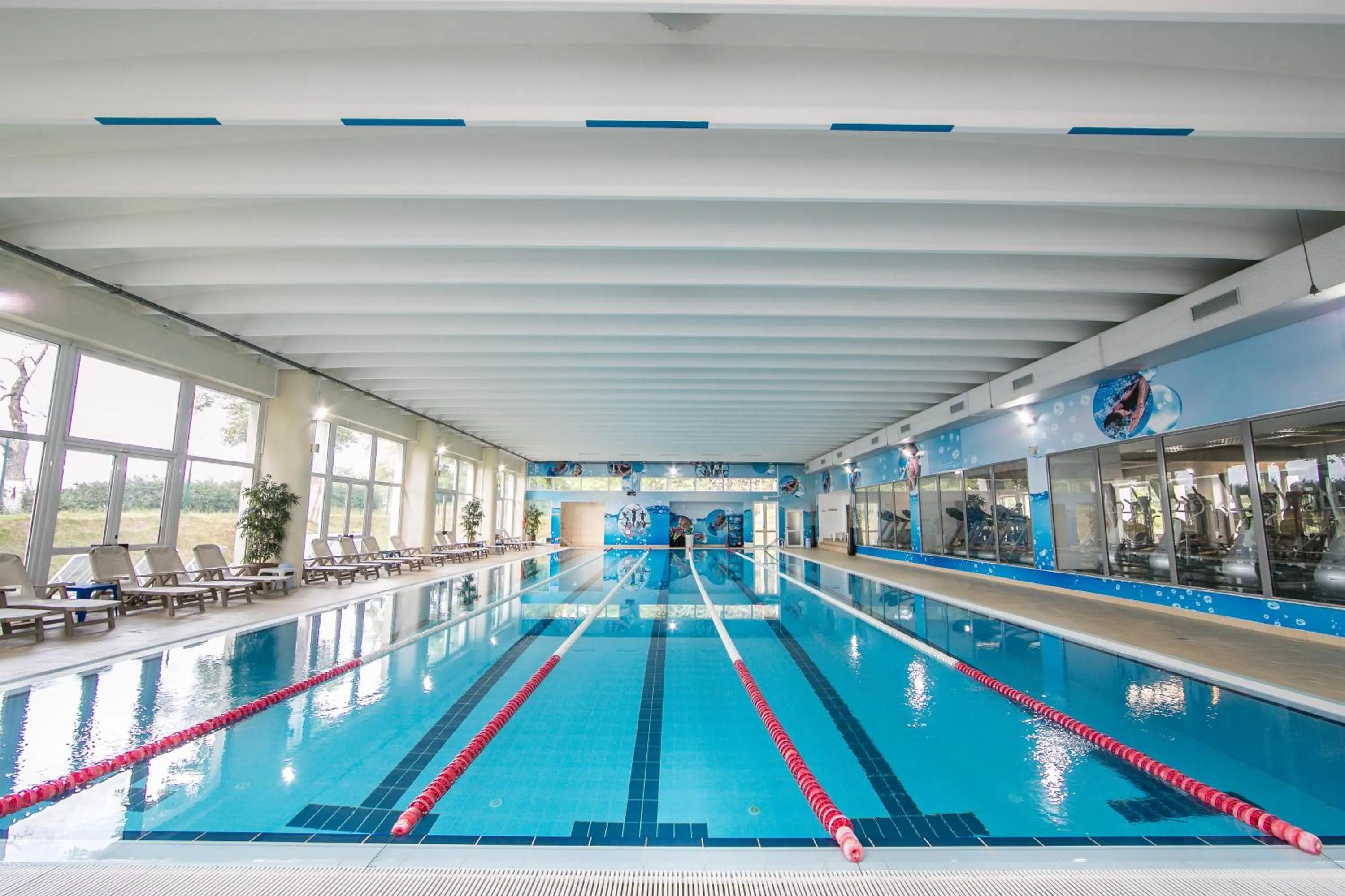 Spa and wellness centre/facilities in Hotel Belvedere