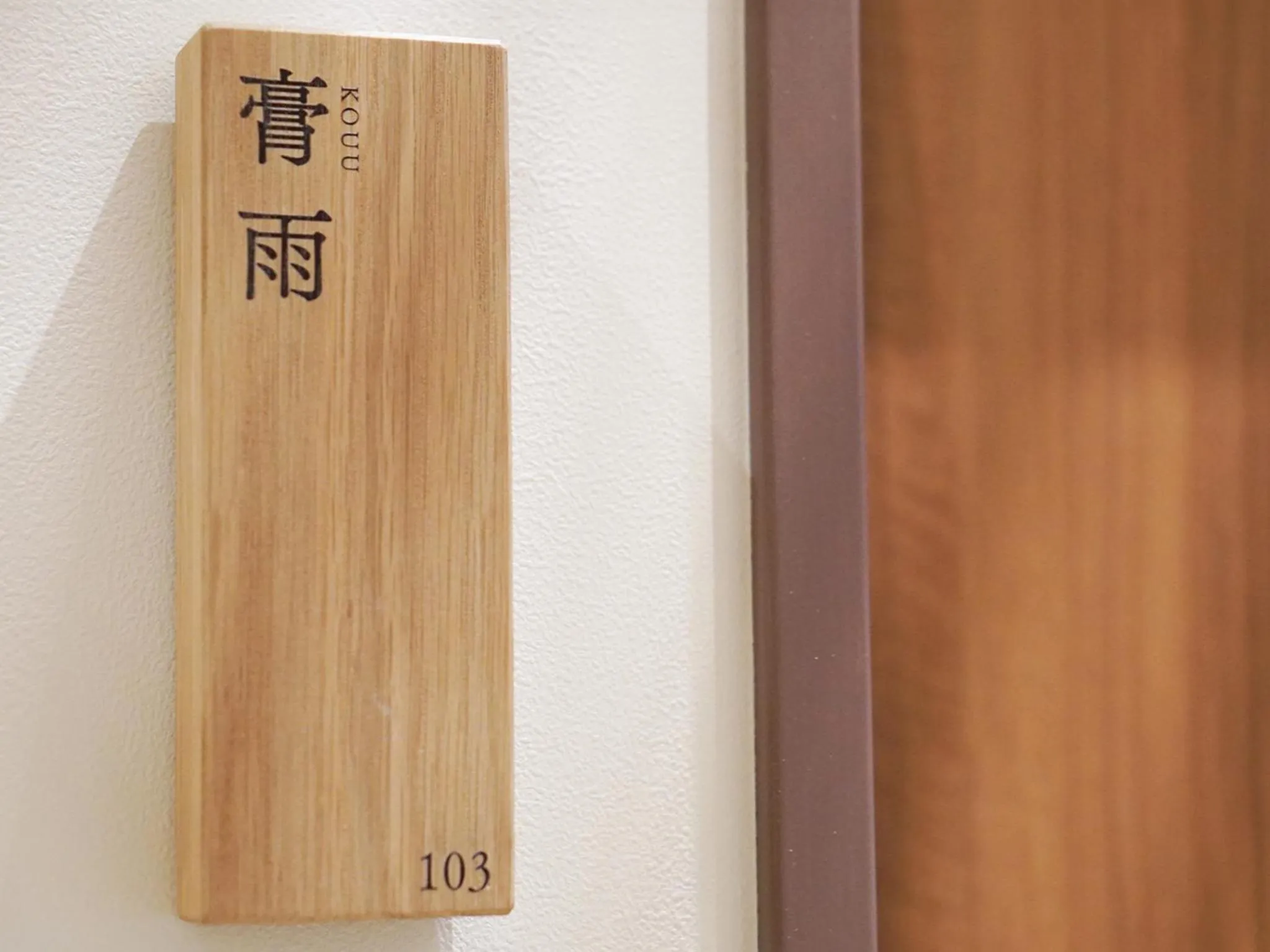 Photo of the whole room in Hakuba Ryujin Onsen RYOKAN SUI