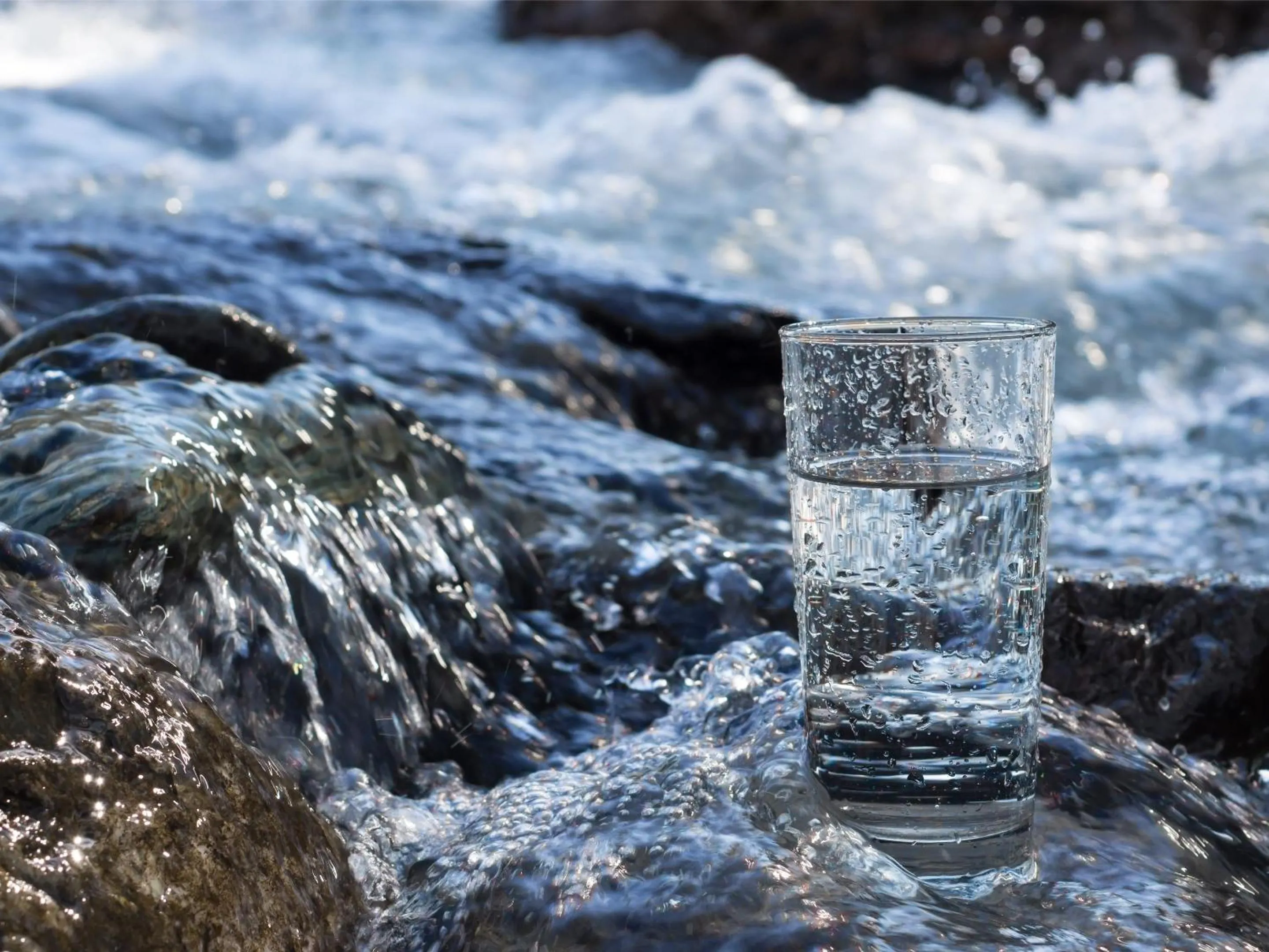 Photo of the whole room in Hakuba Ryujin Onsen RYOKAN SUI