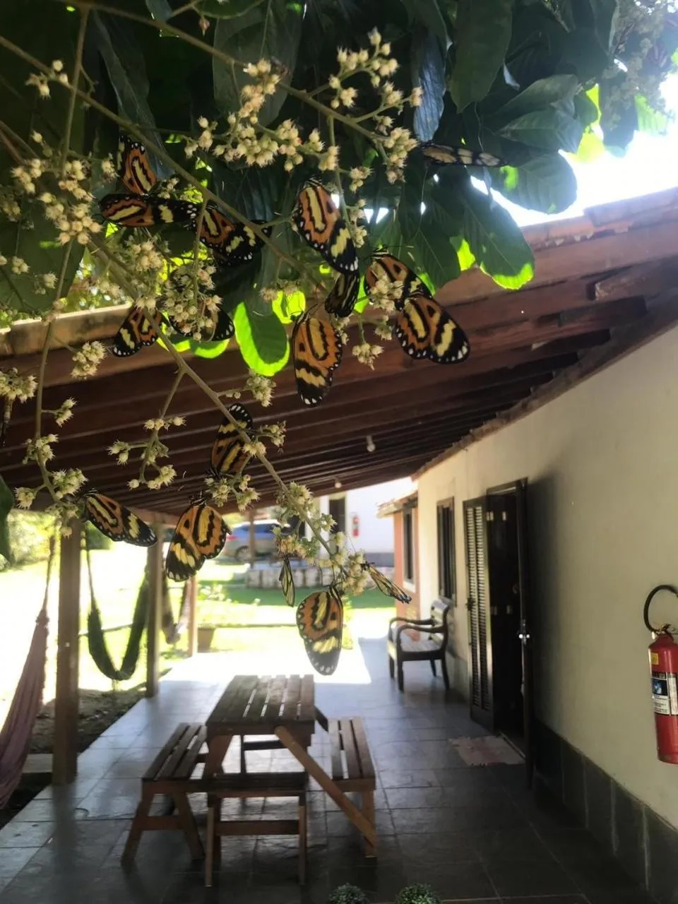 Balcony/Terrace in Aconchegos Ile de France