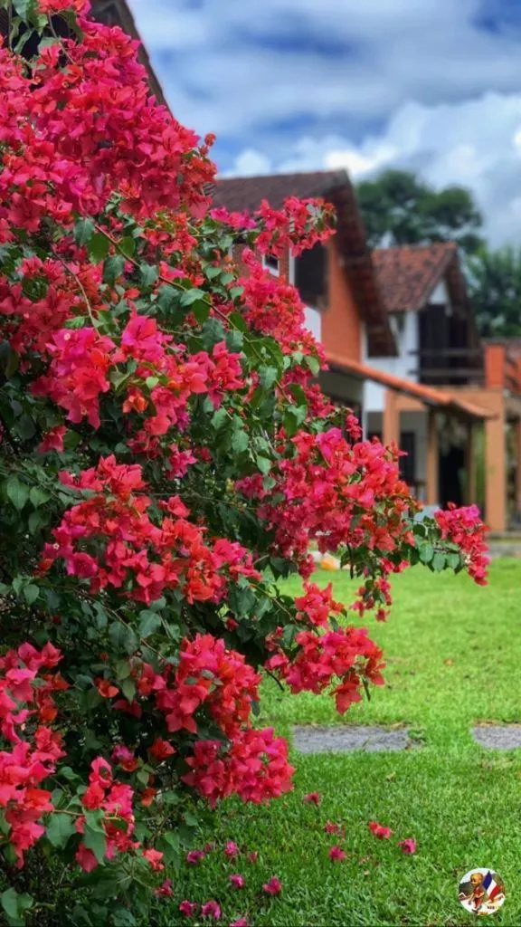Garden in Aconchegos Ile de France