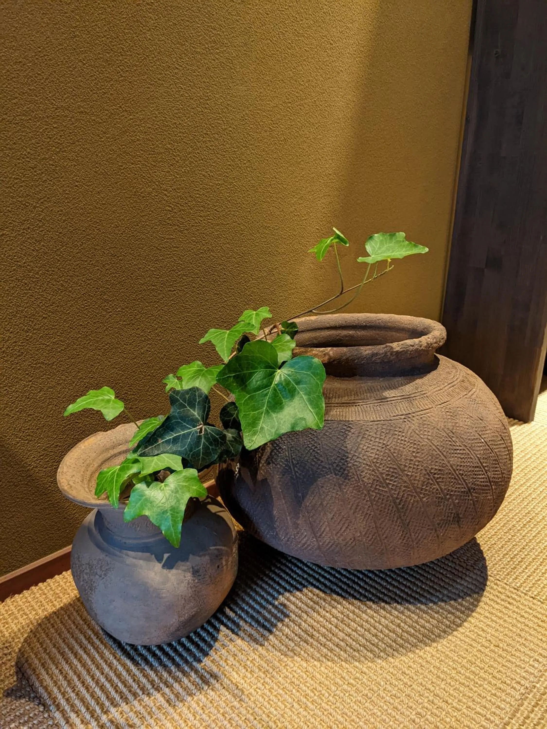 Restaurant/places to eat in Ryokan Tanoya