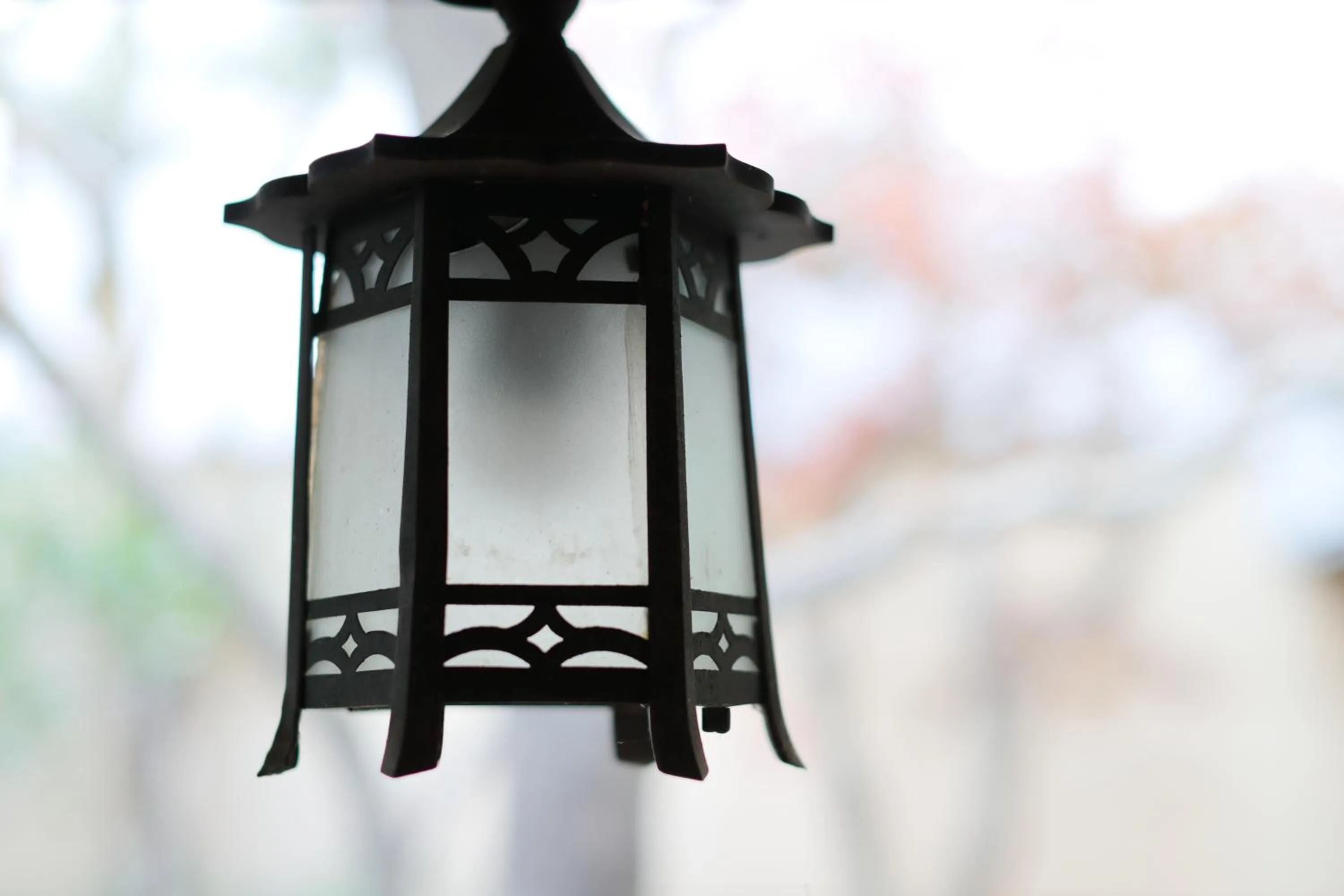 Garden view in Ryokan Tanoya
