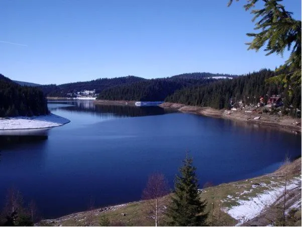 Area and facilities in Hotel Bianca