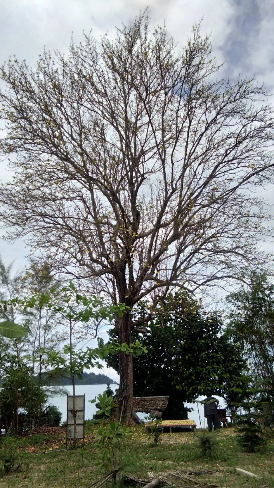 Property building in Baan Suan Kayoo 2 Buffalo Bay Aow Khao Kwai