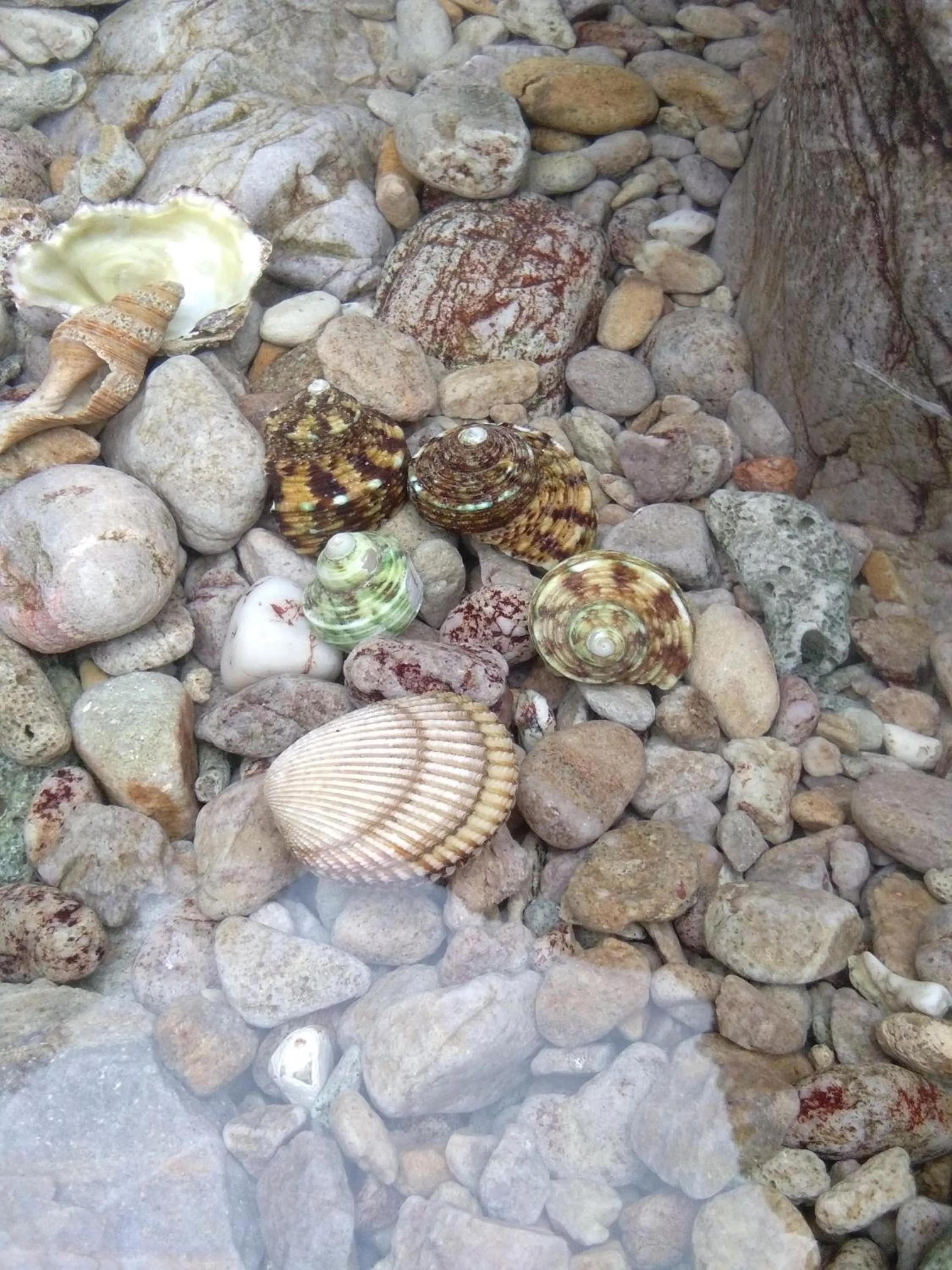 Baan Suan Kayoo 2 Buffalo Bay Aow Khao Kwai