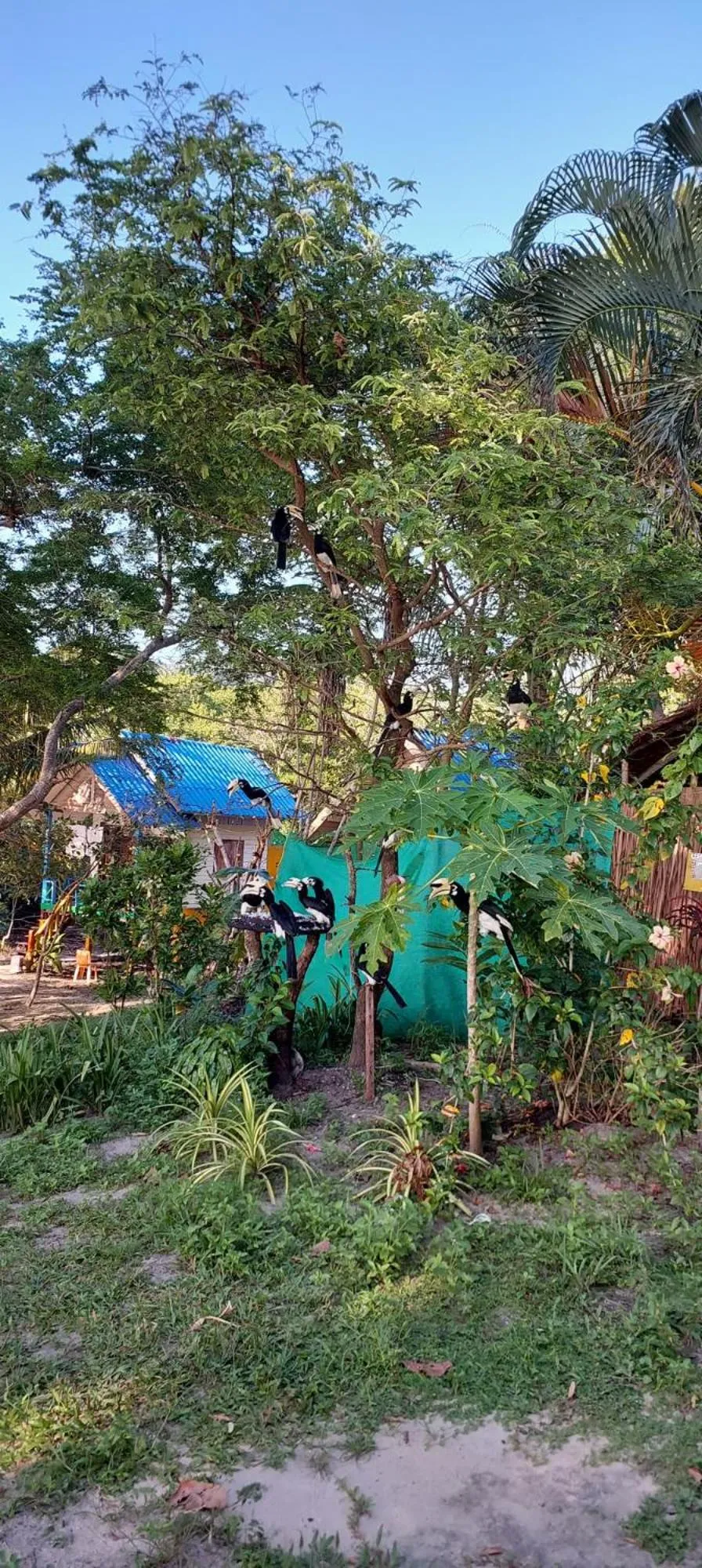 Baan Suan Kayoo 2 Buffalo Bay Aow Khao Kwai