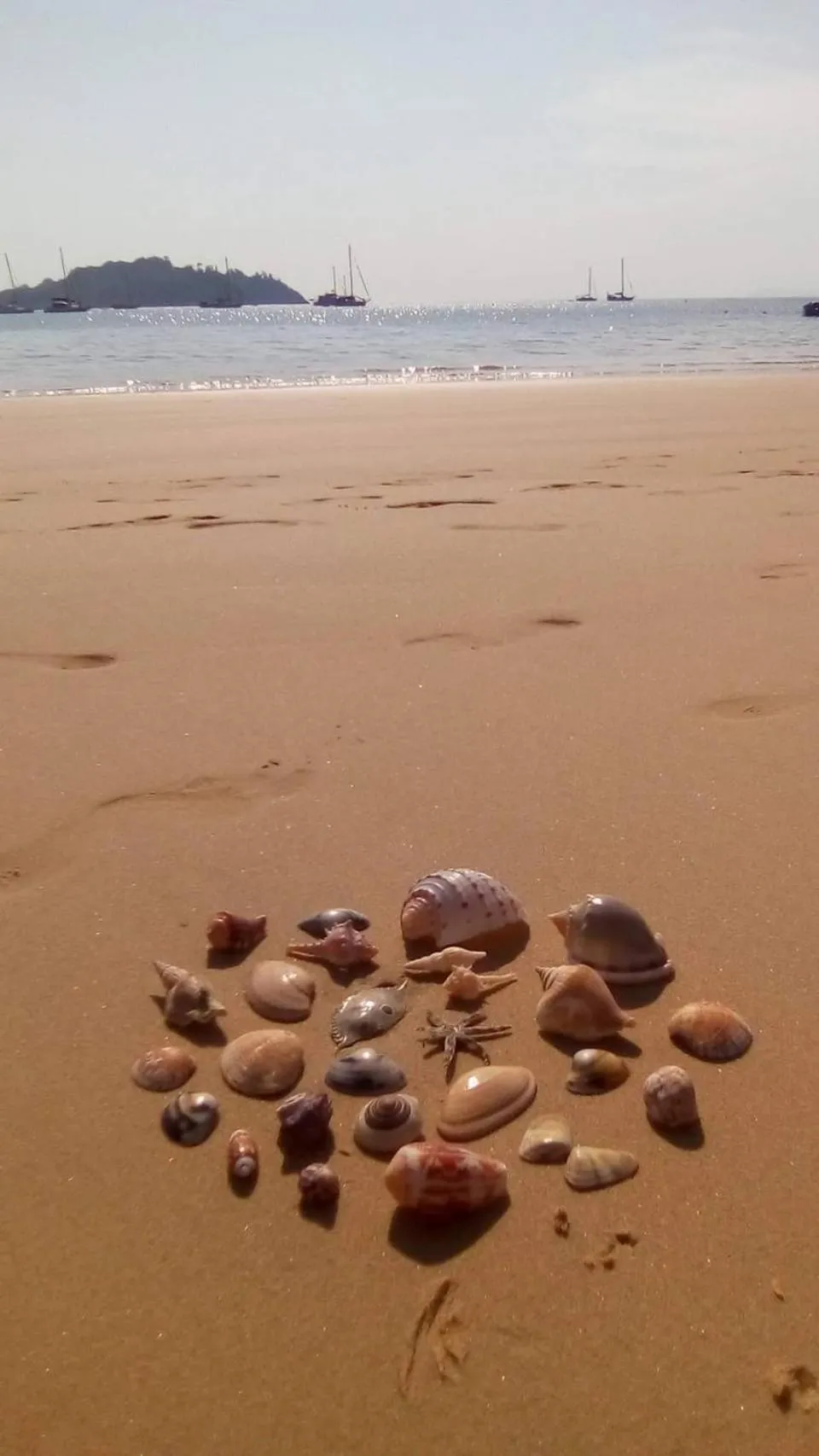 Baan Suan Kayoo 2 Buffalo Bay Aow Khao Kwai