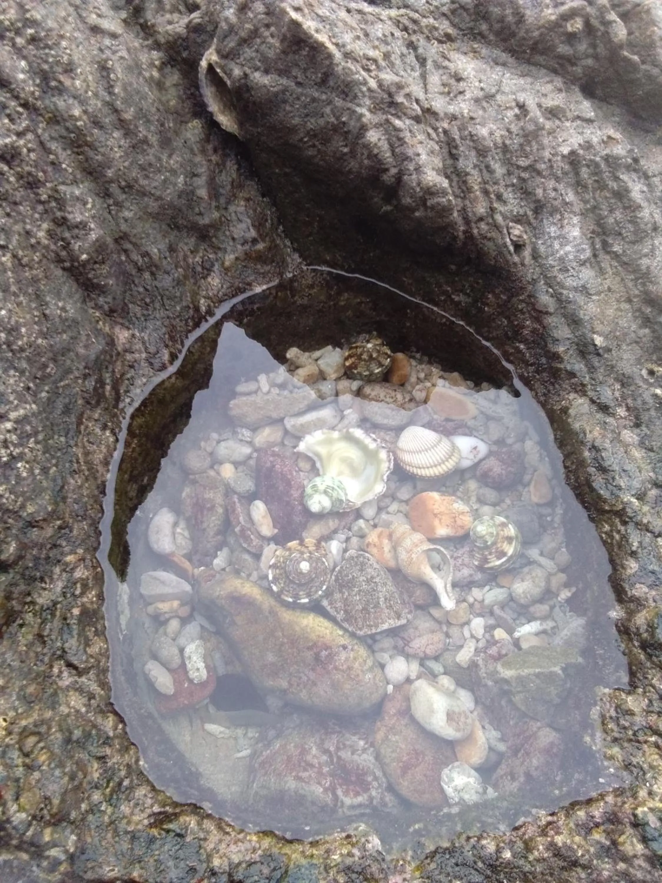 Baan Suan Kayoo 2 Buffalo Bay Aow Khao Kwai