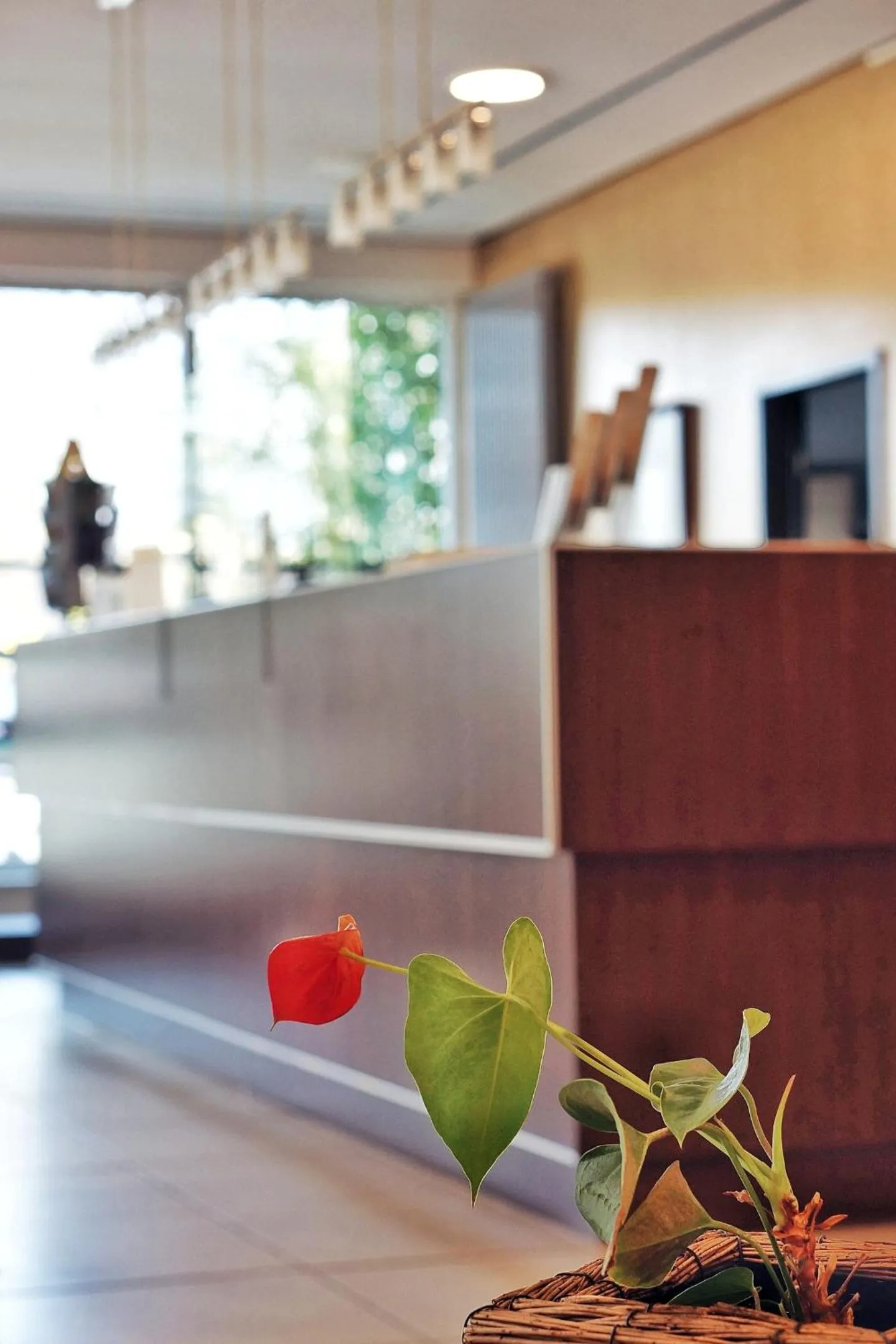 Lobby or reception in Bergwirtschaft Wilder Mann Hotel und Restaurant