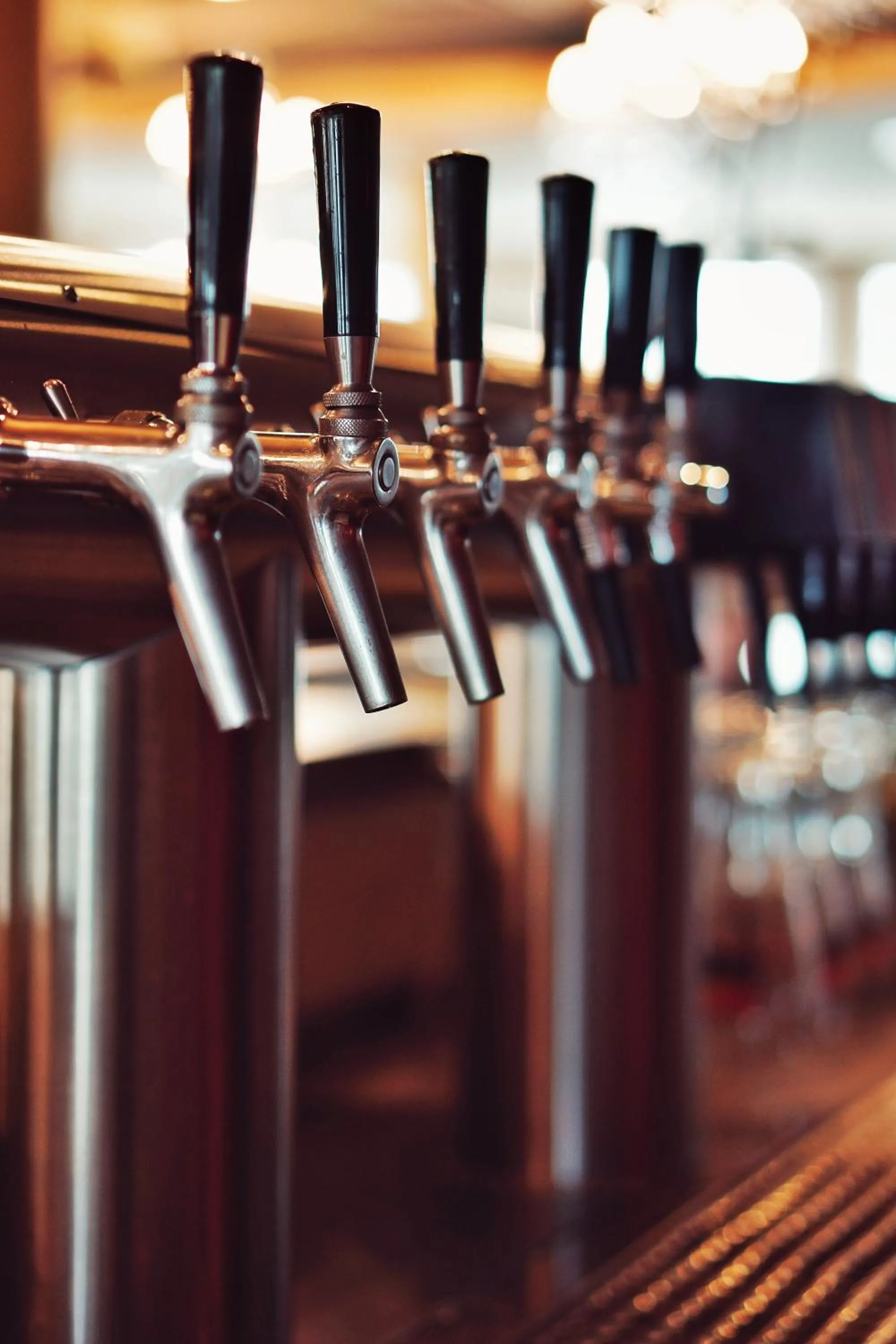 Restaurant/places to eat in Bergwirtschaft Wilder Mann Hotel und Restaurant