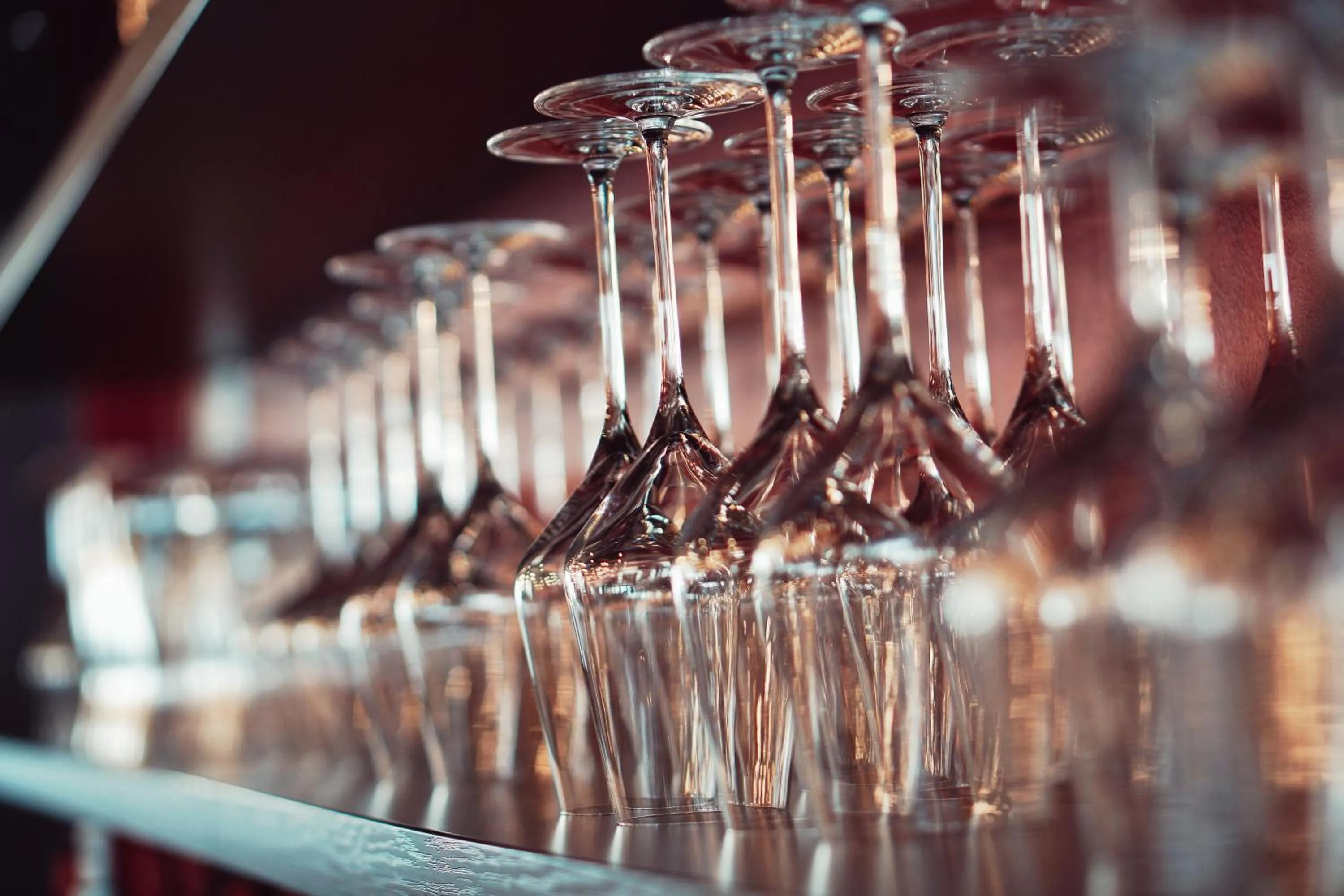 Restaurant/places to eat in Bergwirtschaft Wilder Mann Hotel und Restaurant