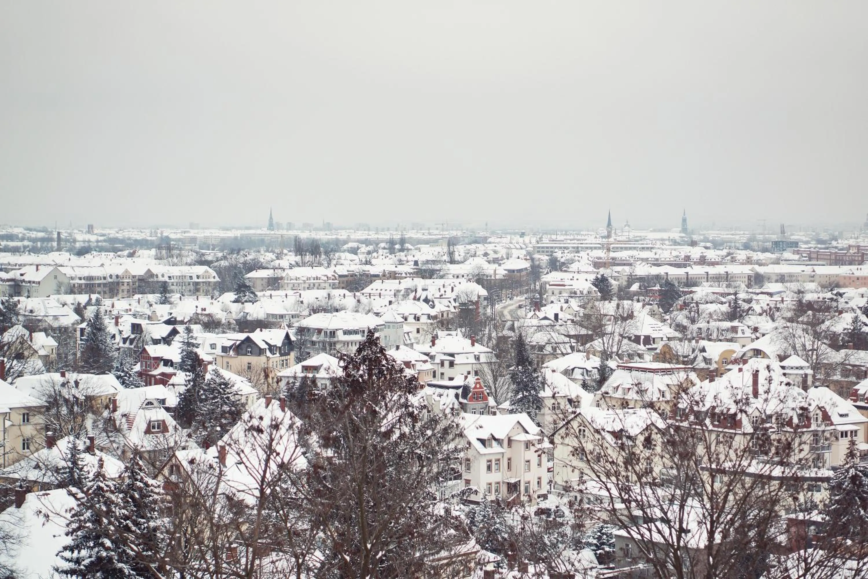Day in Bergwirtschaft Wilder Mann Hotel und Restaurant