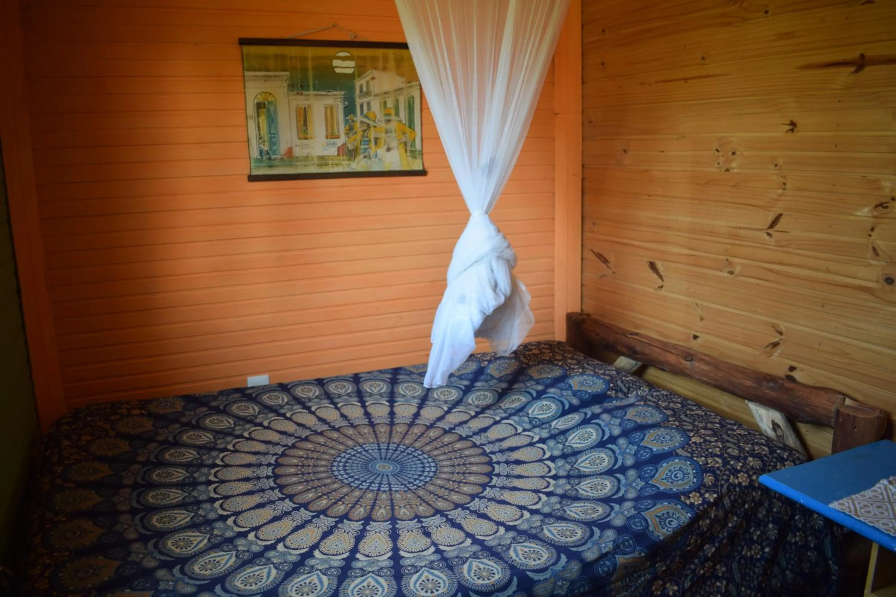 Photo of the whole room in Eco Choclo