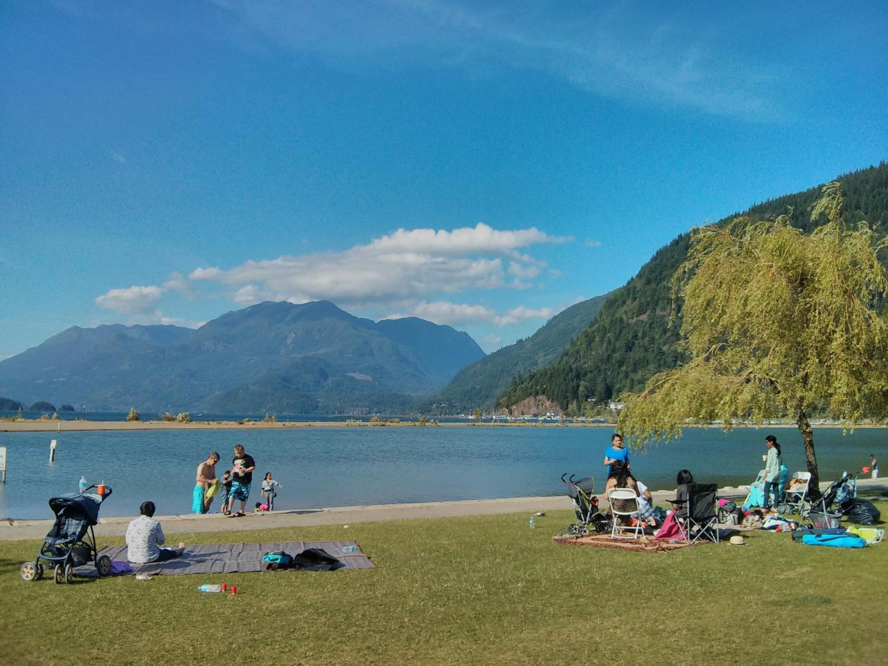 Beach in Harrison Lake Hotel