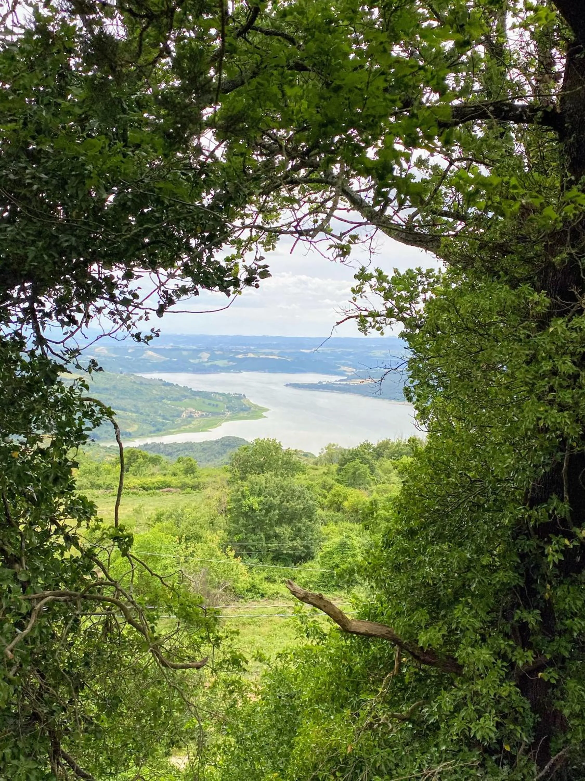 Natural landscape in Castello di Titignano
