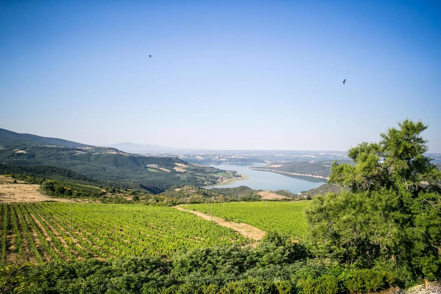 View (from property/room) in Castello di Titignano