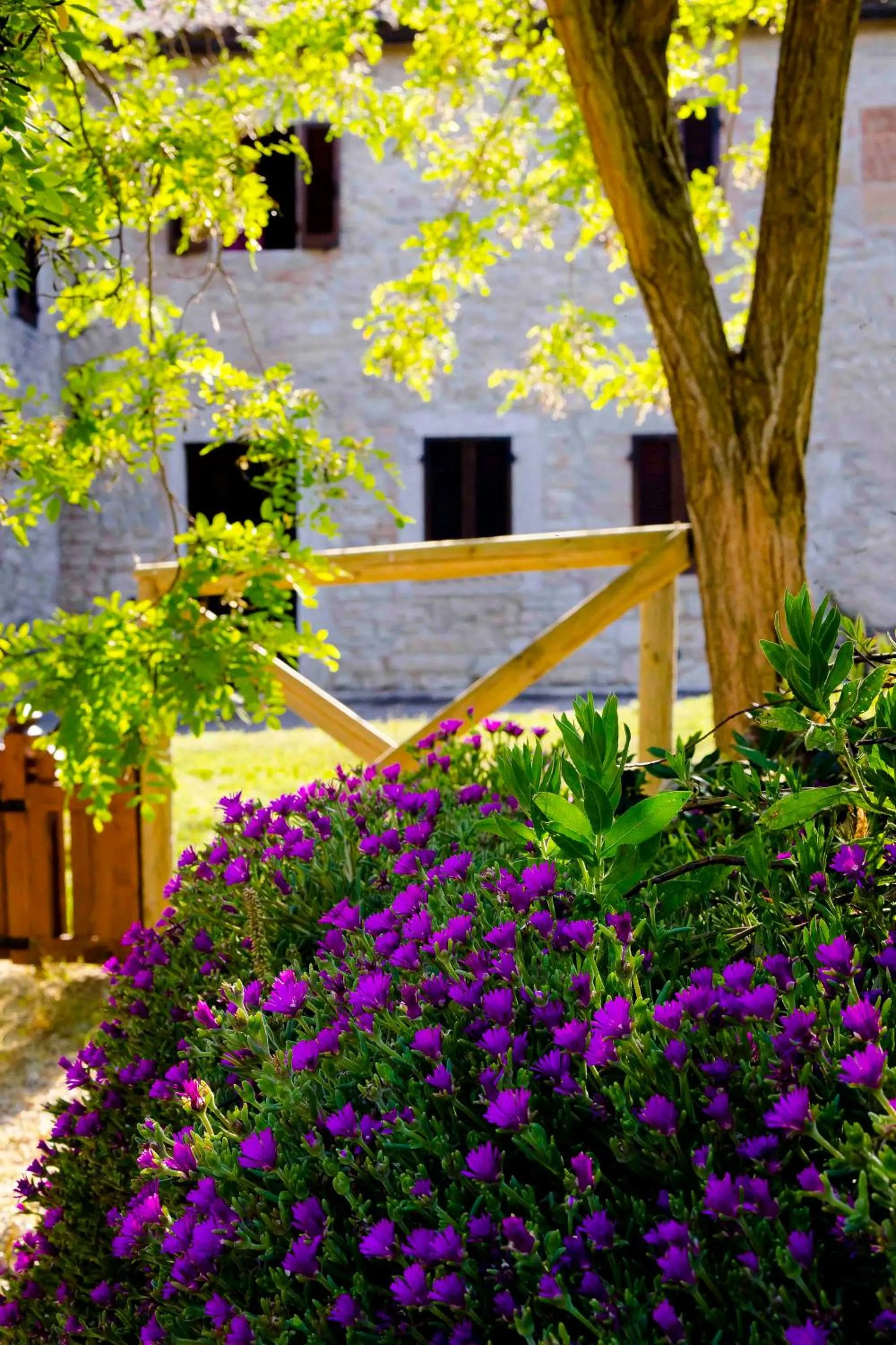 Property building in Castello di Titignano